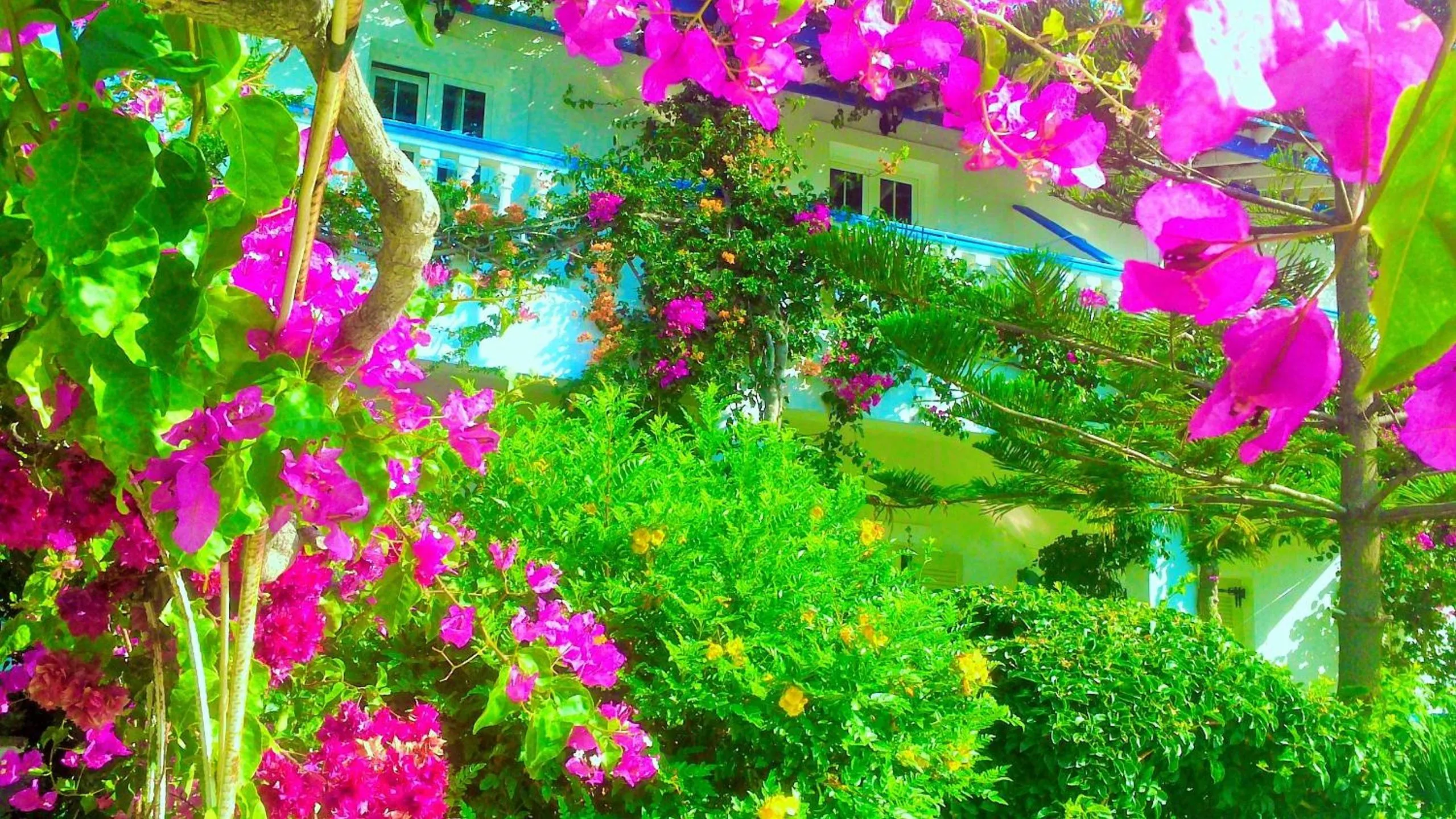 Facade/entrance in Angelika