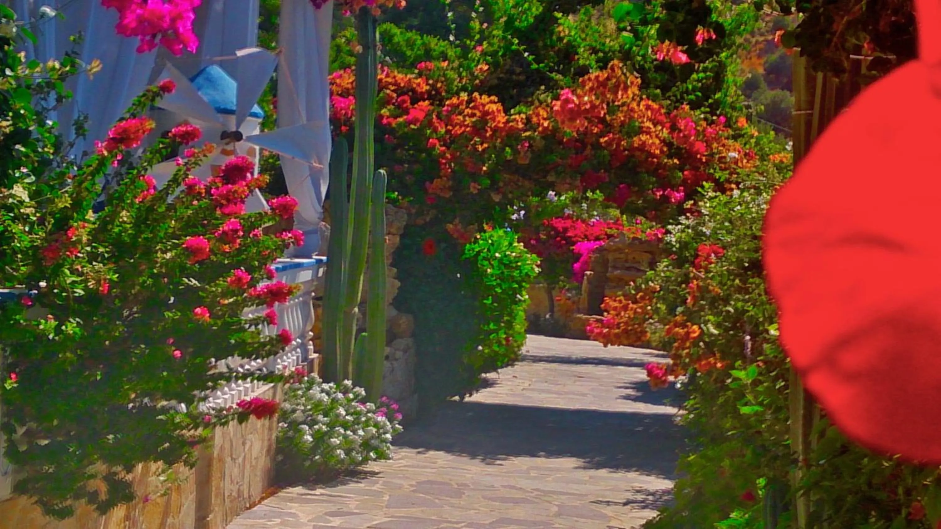 Facade/entrance in Angelika