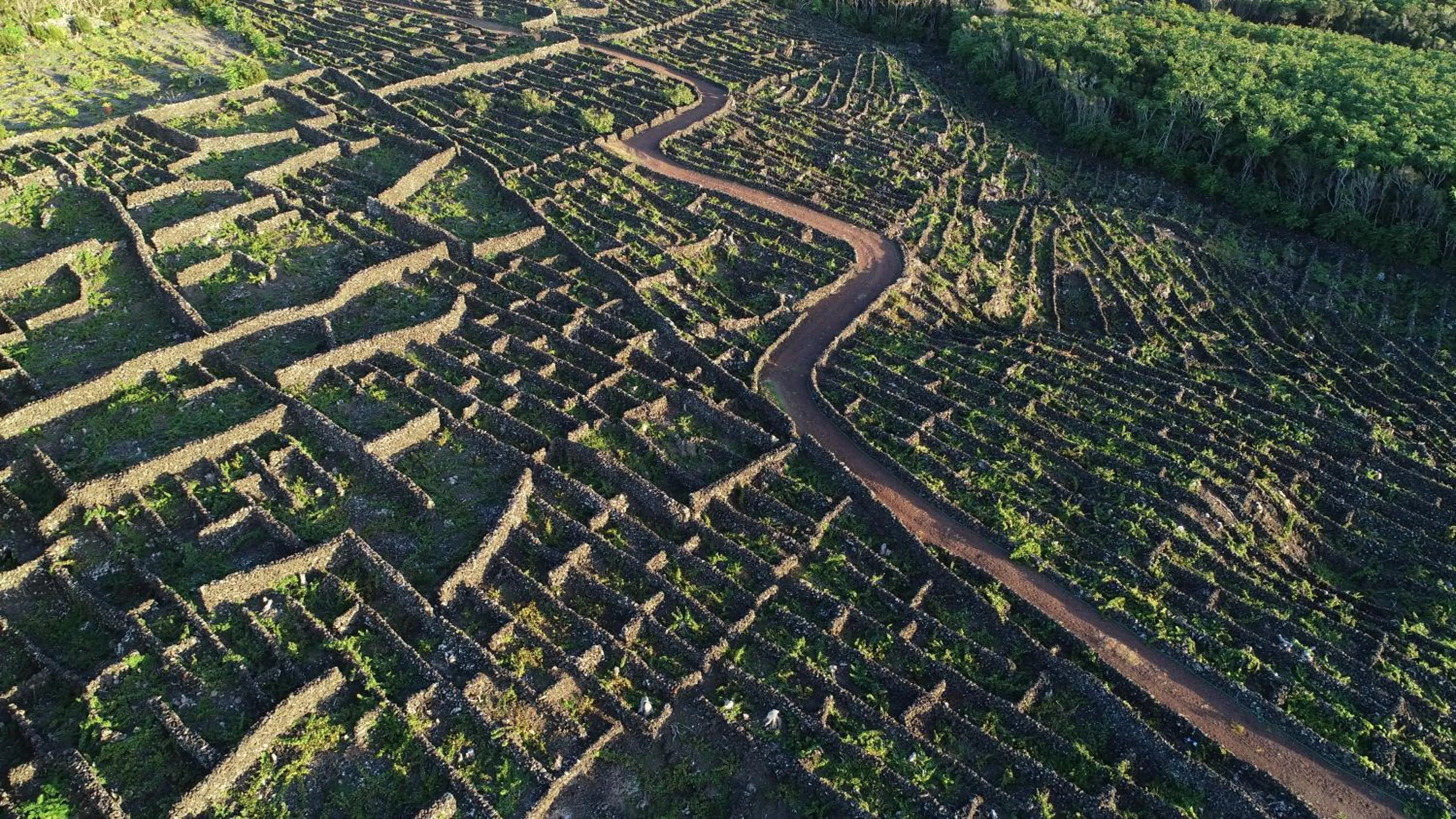 Bird's eye view in Pocinhobay