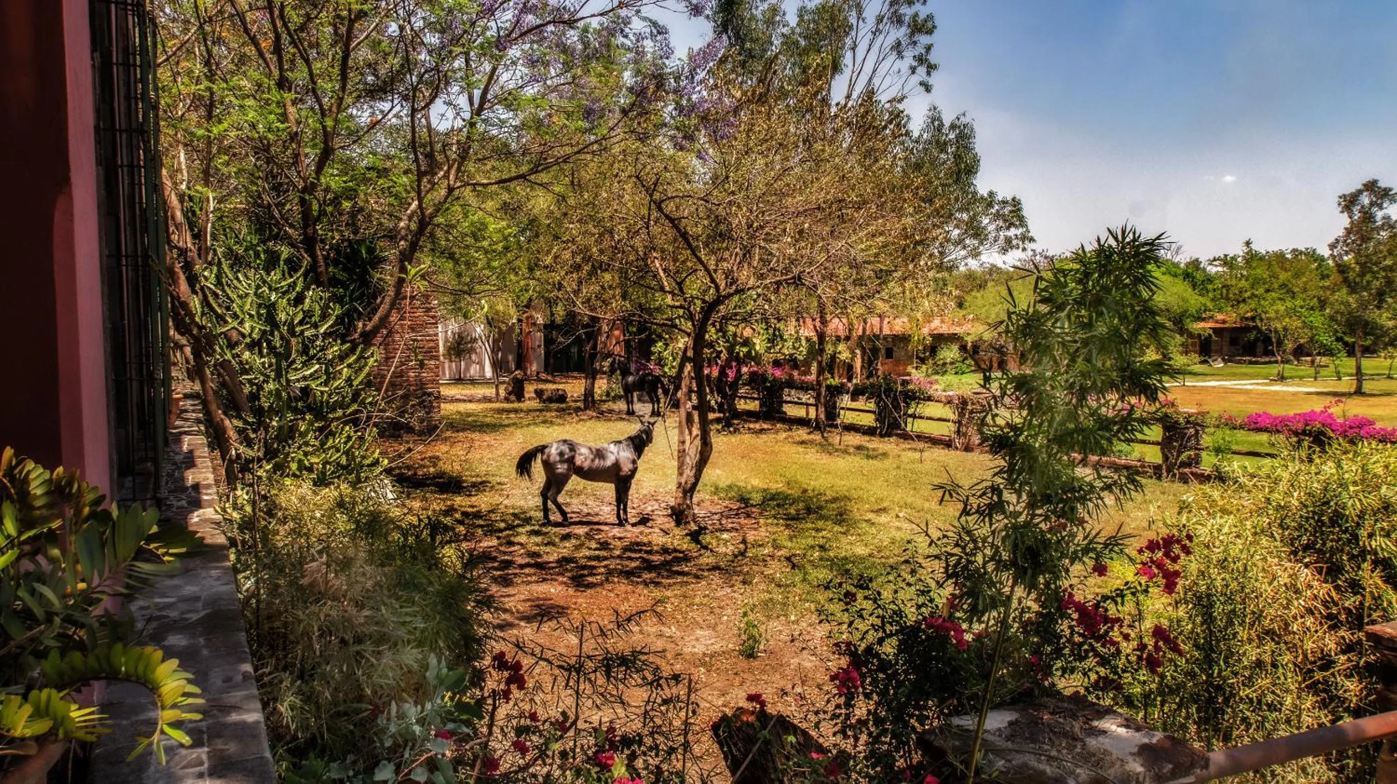 Off site in Hacienda Labor de Rivera Hotel Boutique & Eventos