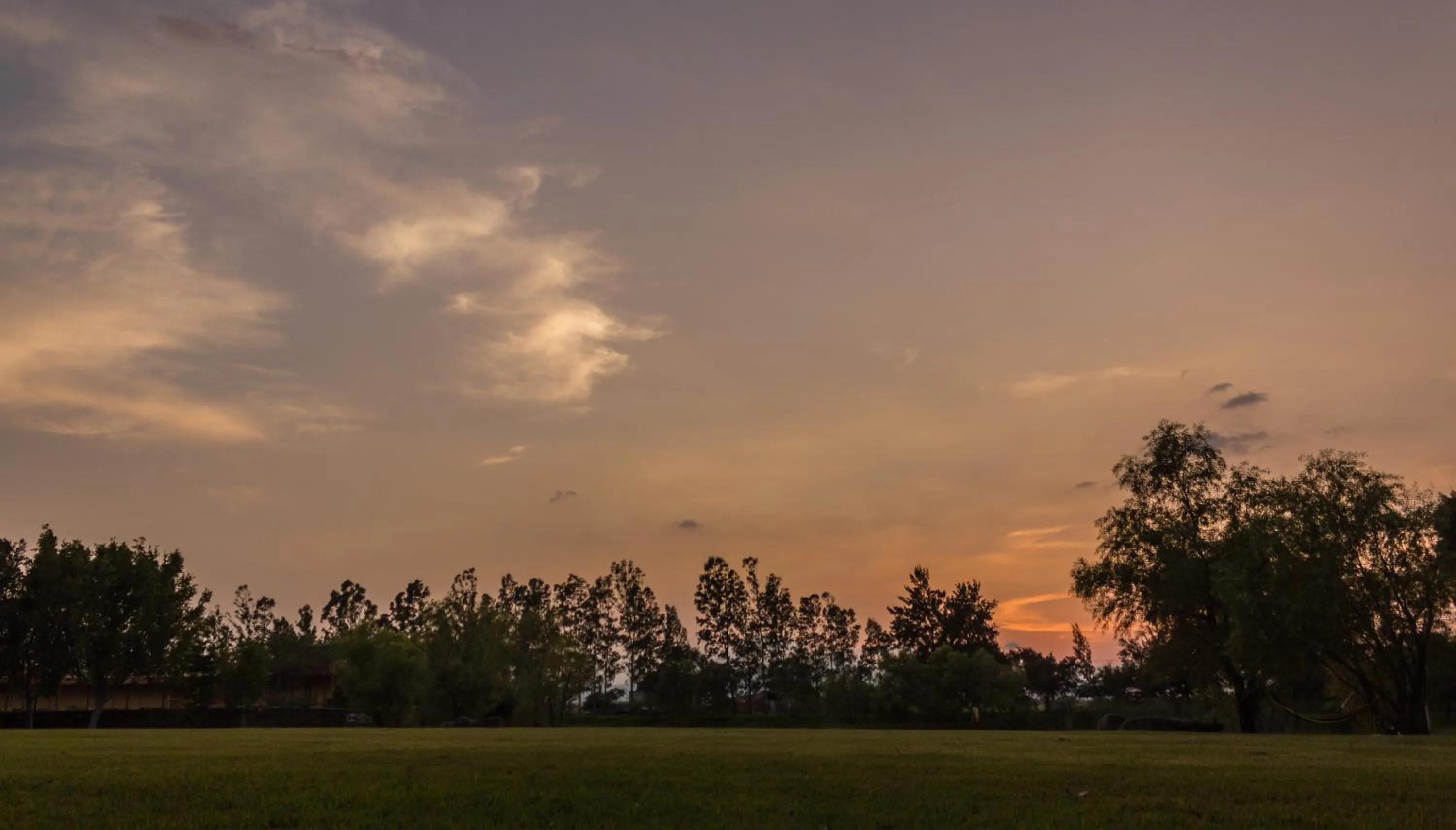 Spring in Hacienda Labor de Rivera Hotel Boutique & Eventos