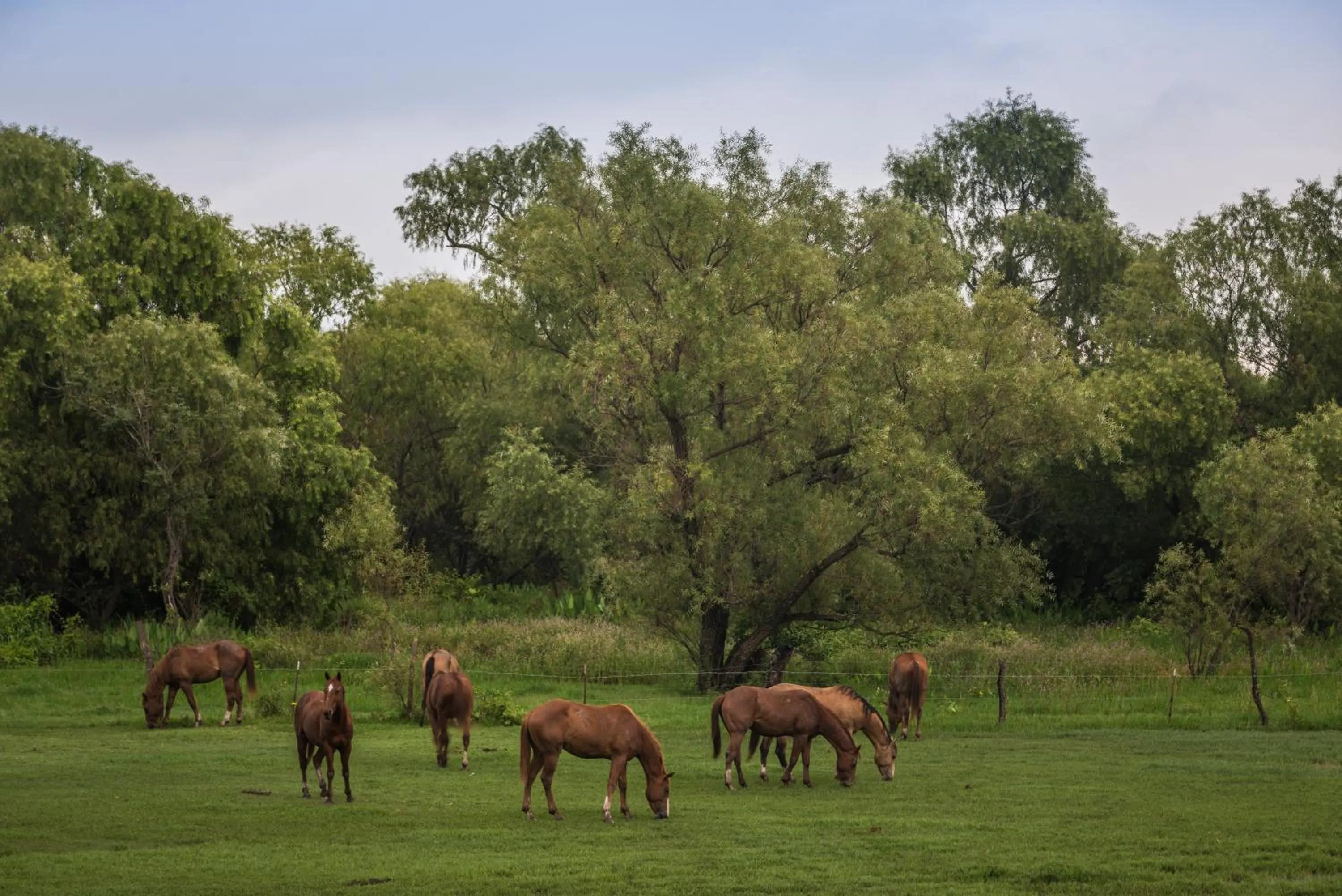 Spring in Hacienda Labor de Rivera Hotel Boutique & Eventos