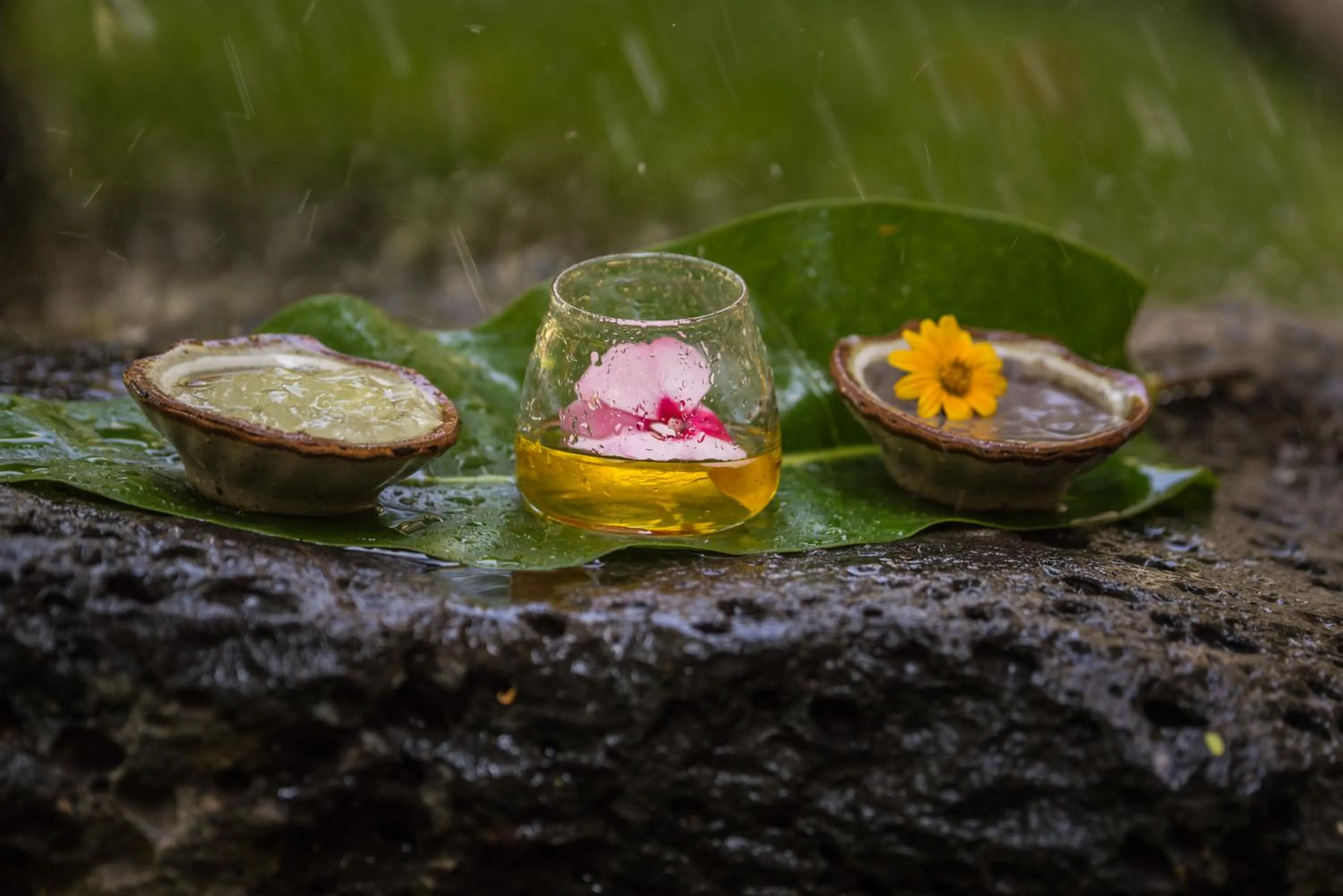 Spring in Hacienda Labor de Rivera Hotel Boutique & Eventos