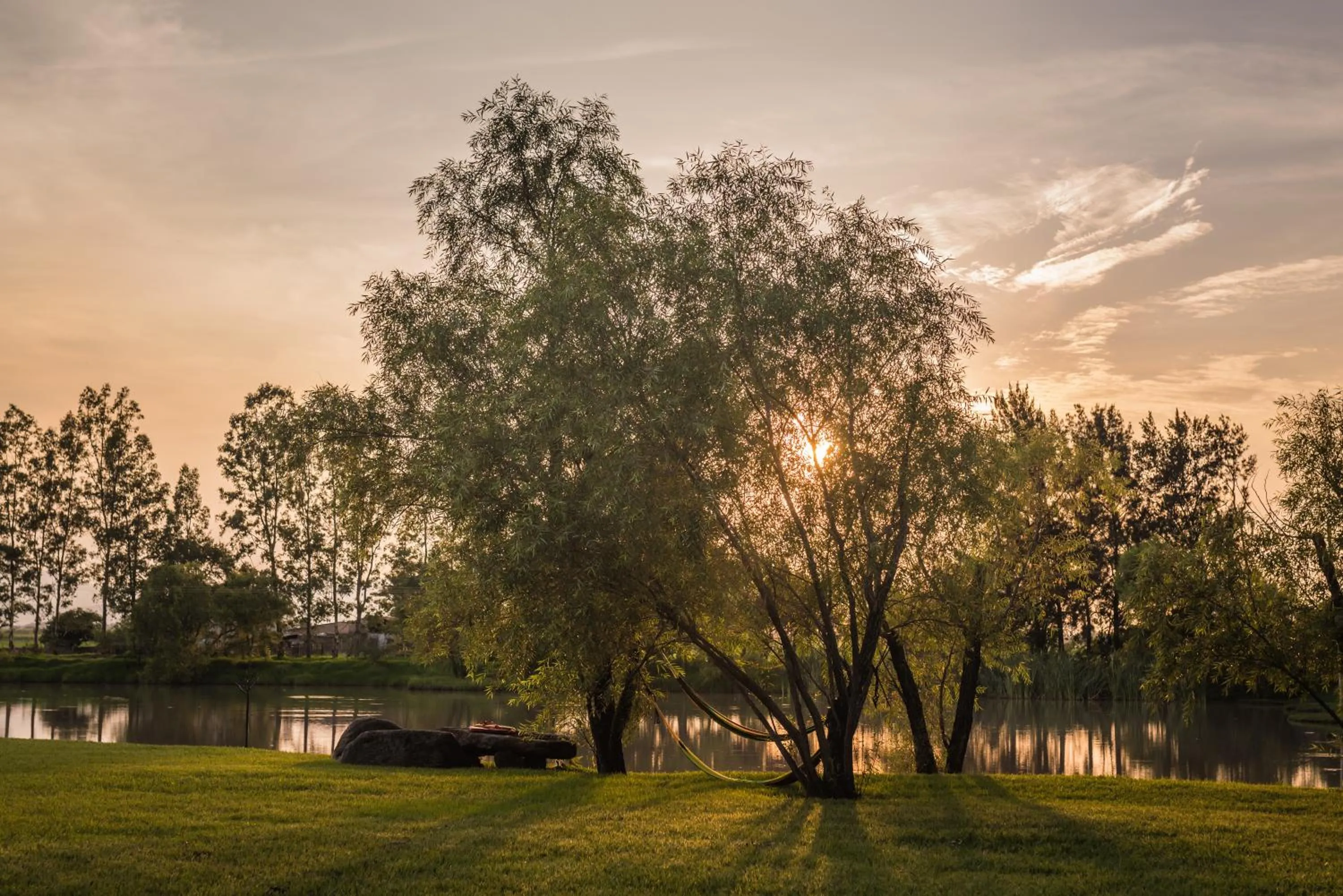 Spring in Hacienda Labor de Rivera Hotel Boutique & Eventos