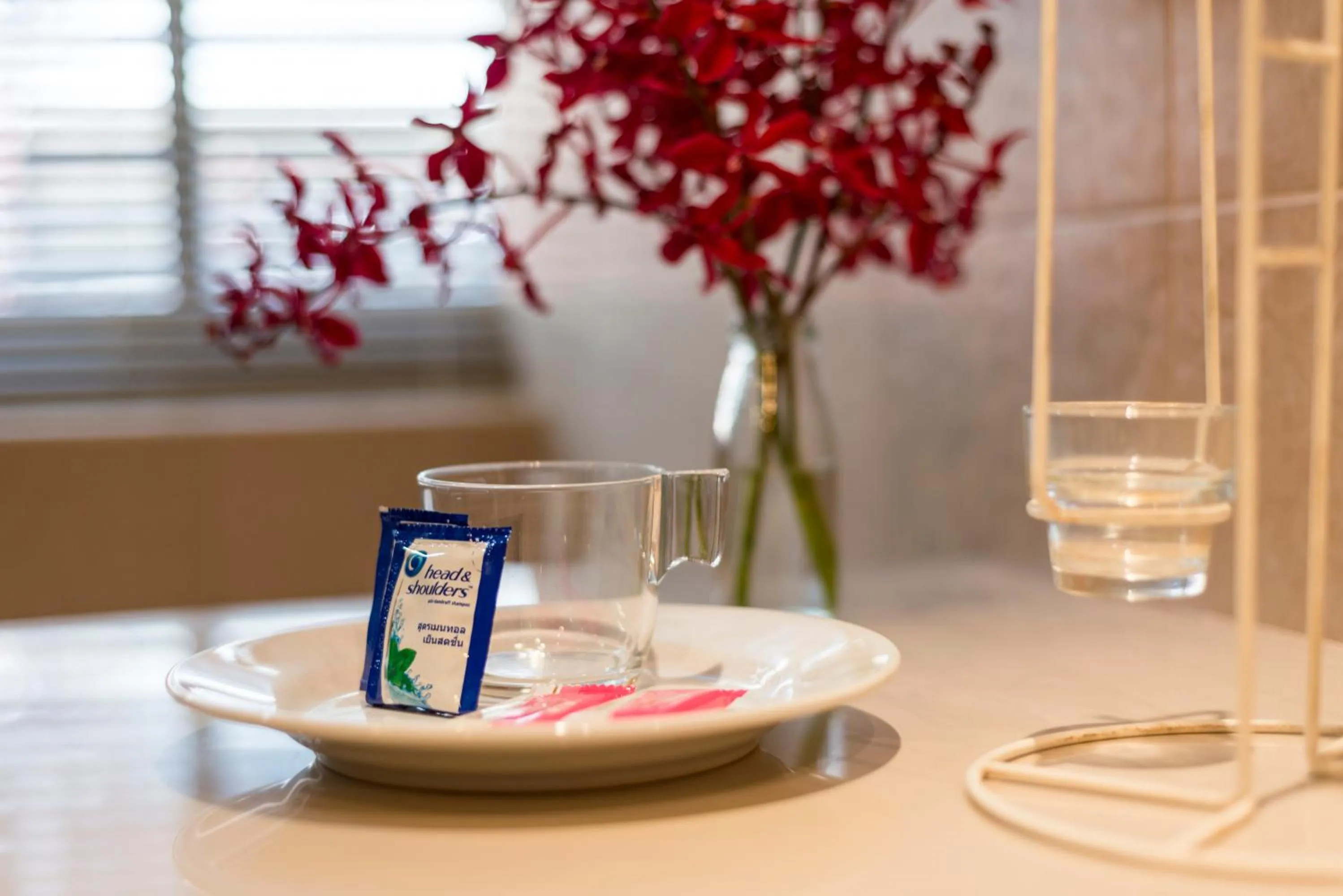 Area and facilities in The Best Bangkok House