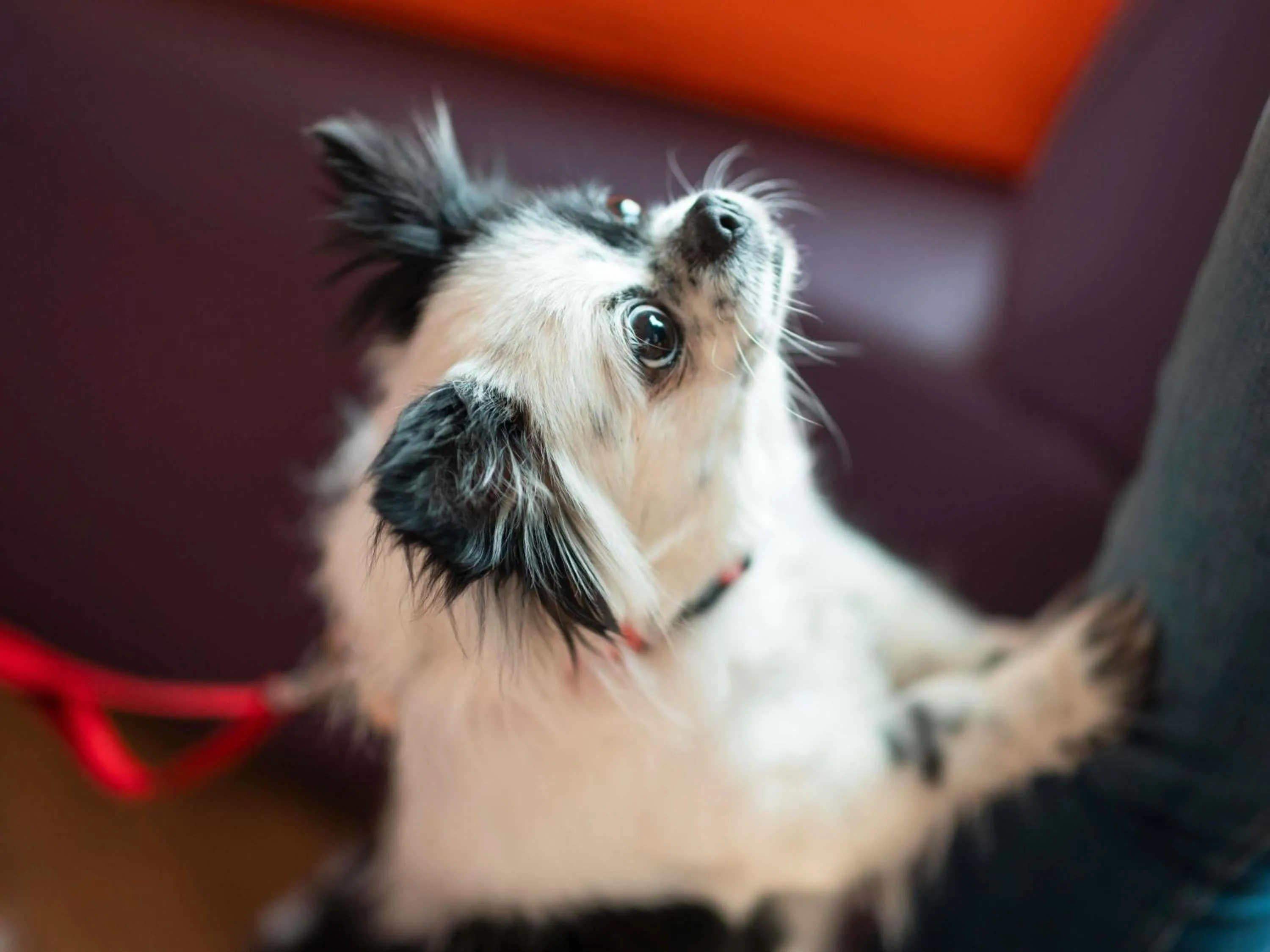 Other in ibis Carlisle City Centre