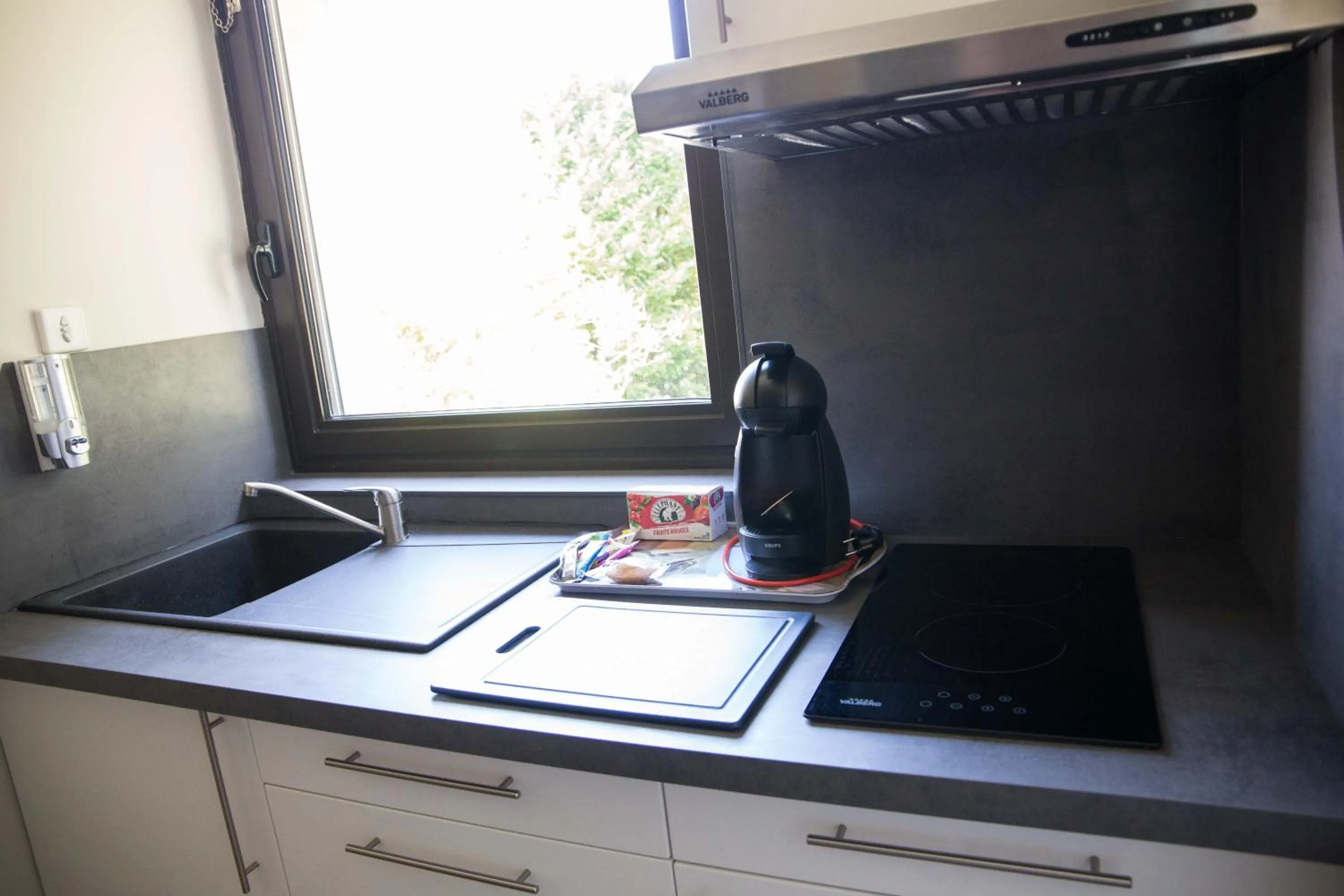 Kitchen or kitchenette in Appart-hôtel Chanzy / Angoulême