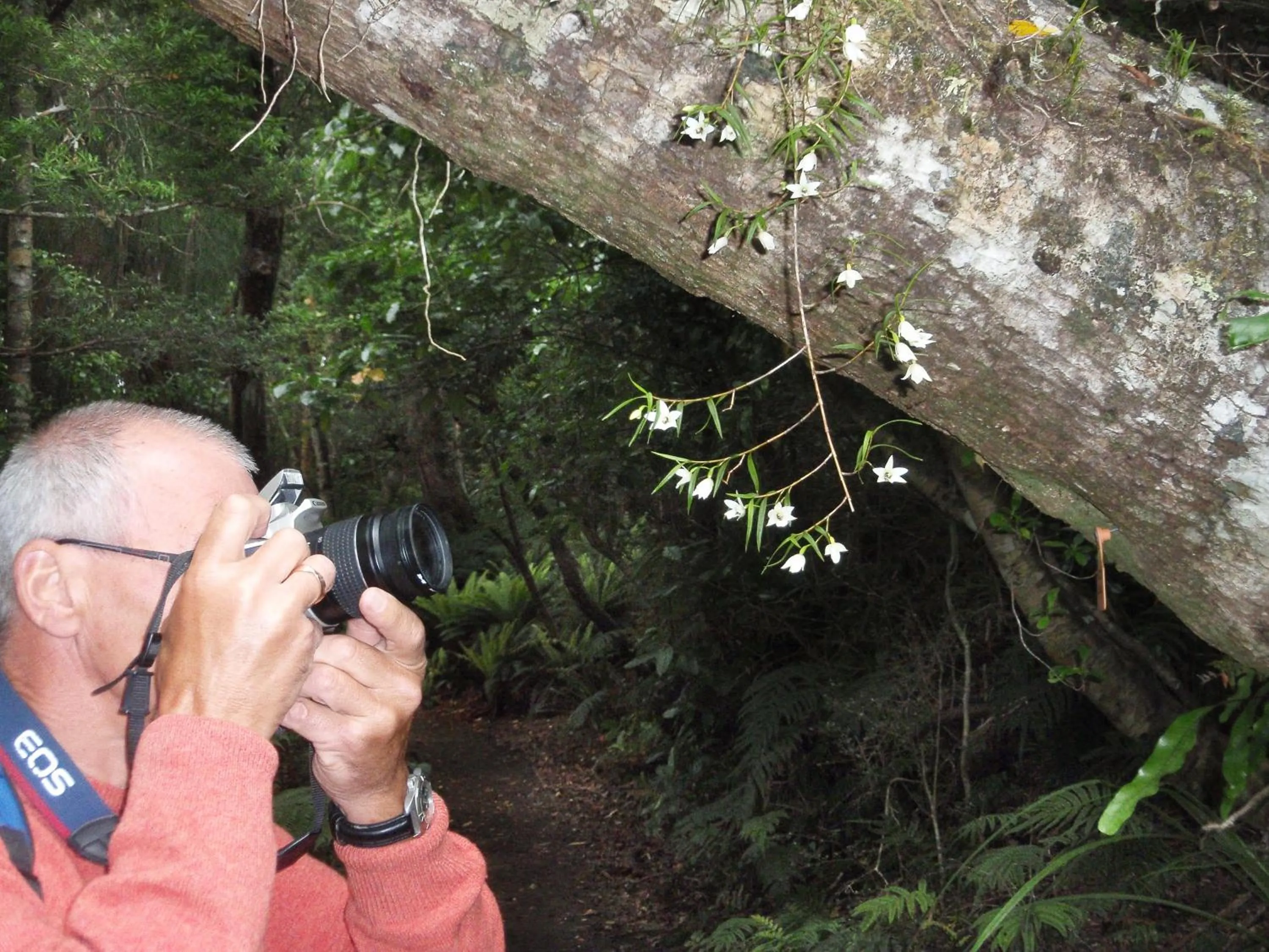 Natural landscape in Kowhai Lane Lodge