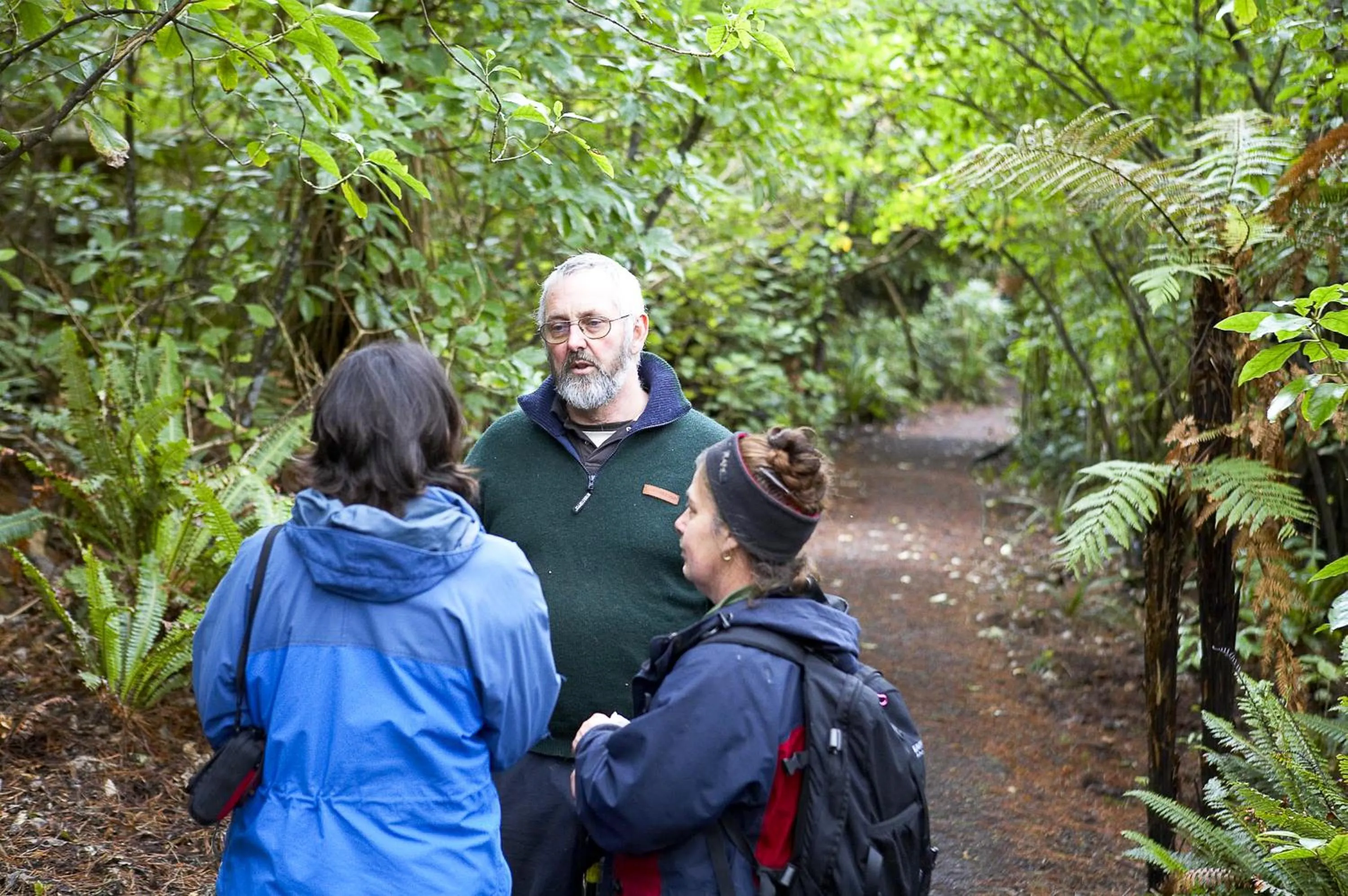 Nearby landmark in Kowhai Lane Lodge