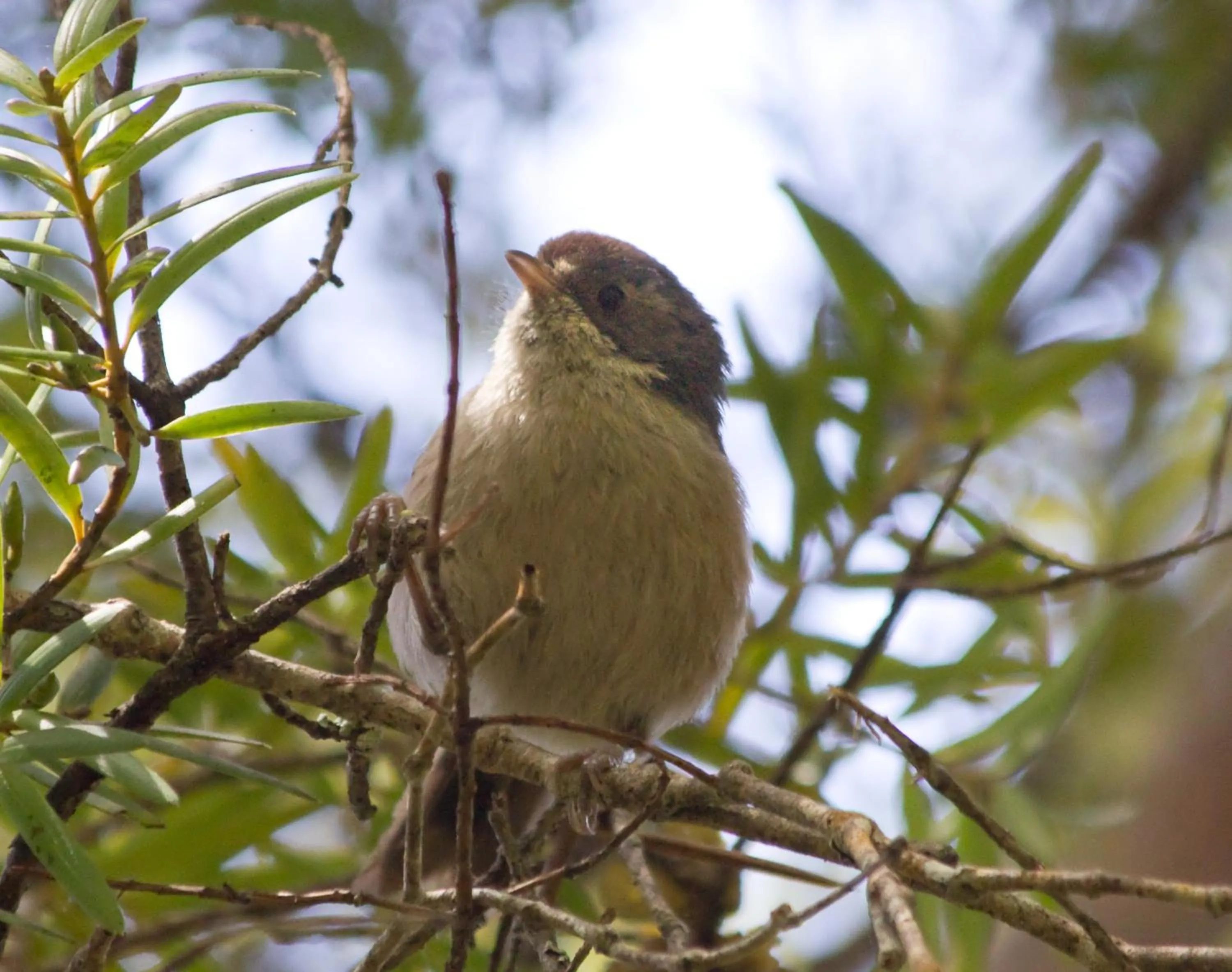 Natural landscape in Kowhai Lane Lodge