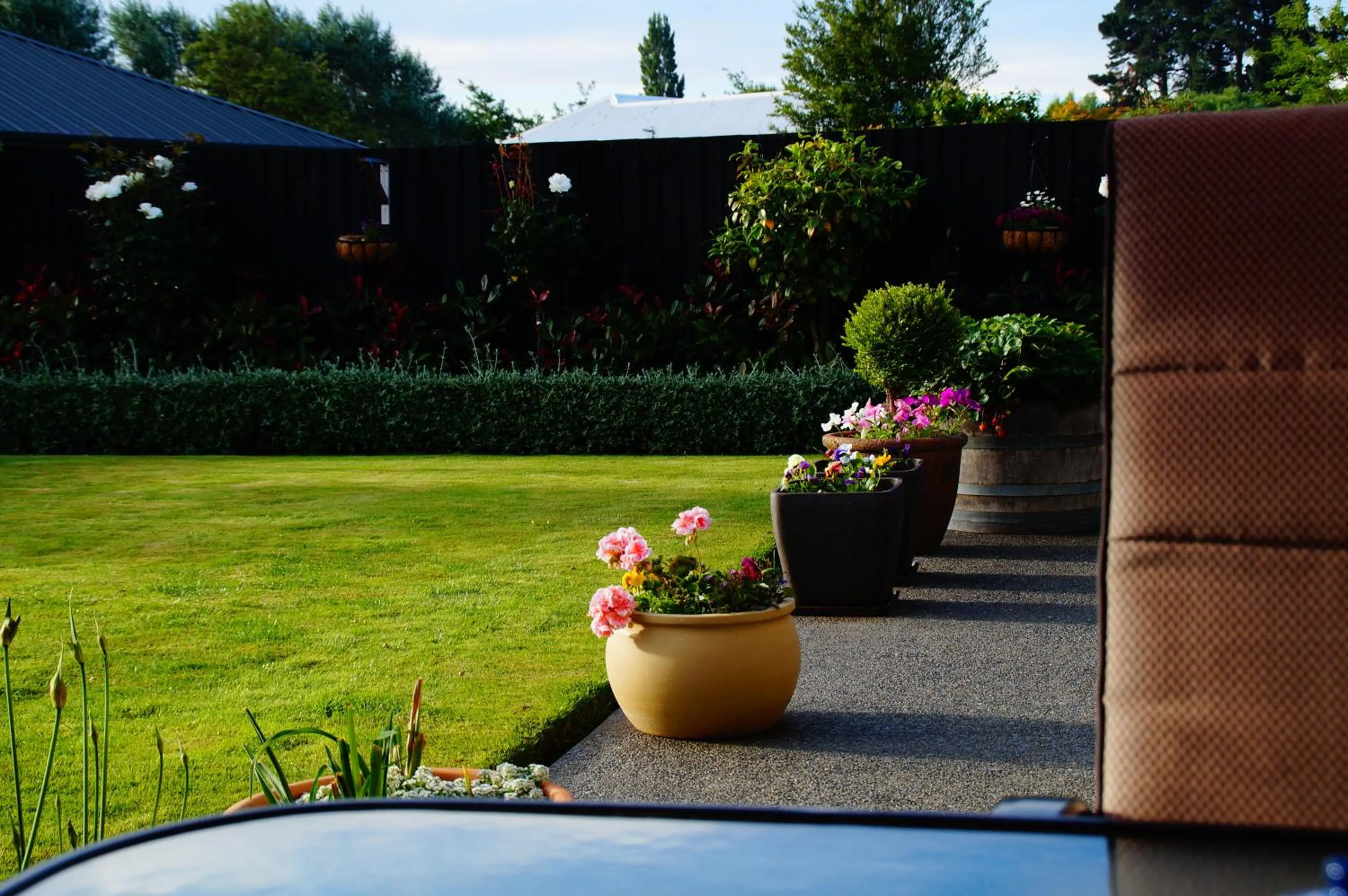 Balcony/Terrace in Olive House Bed and Breakfast