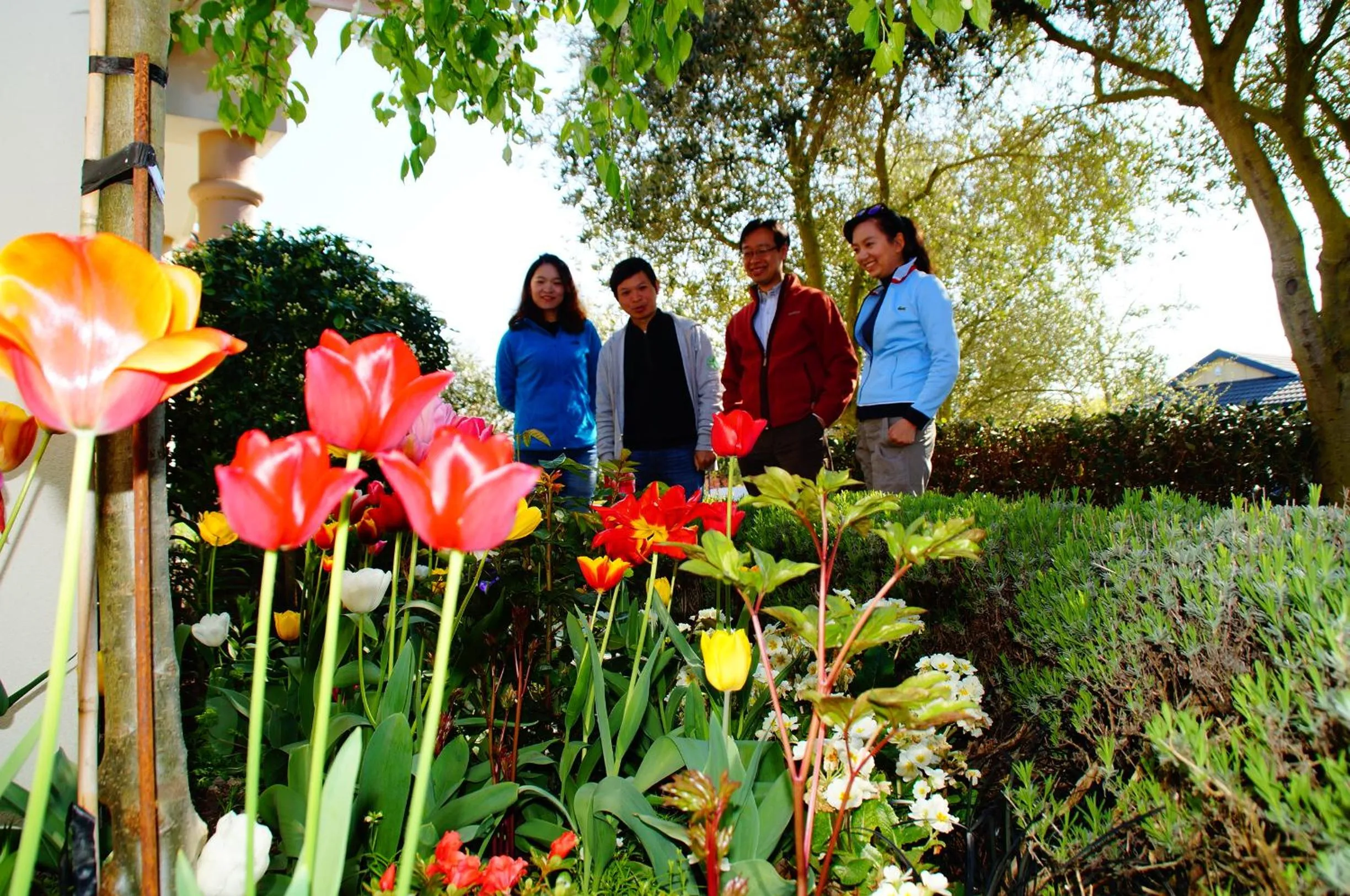 Garden in Olive House Bed and Breakfast