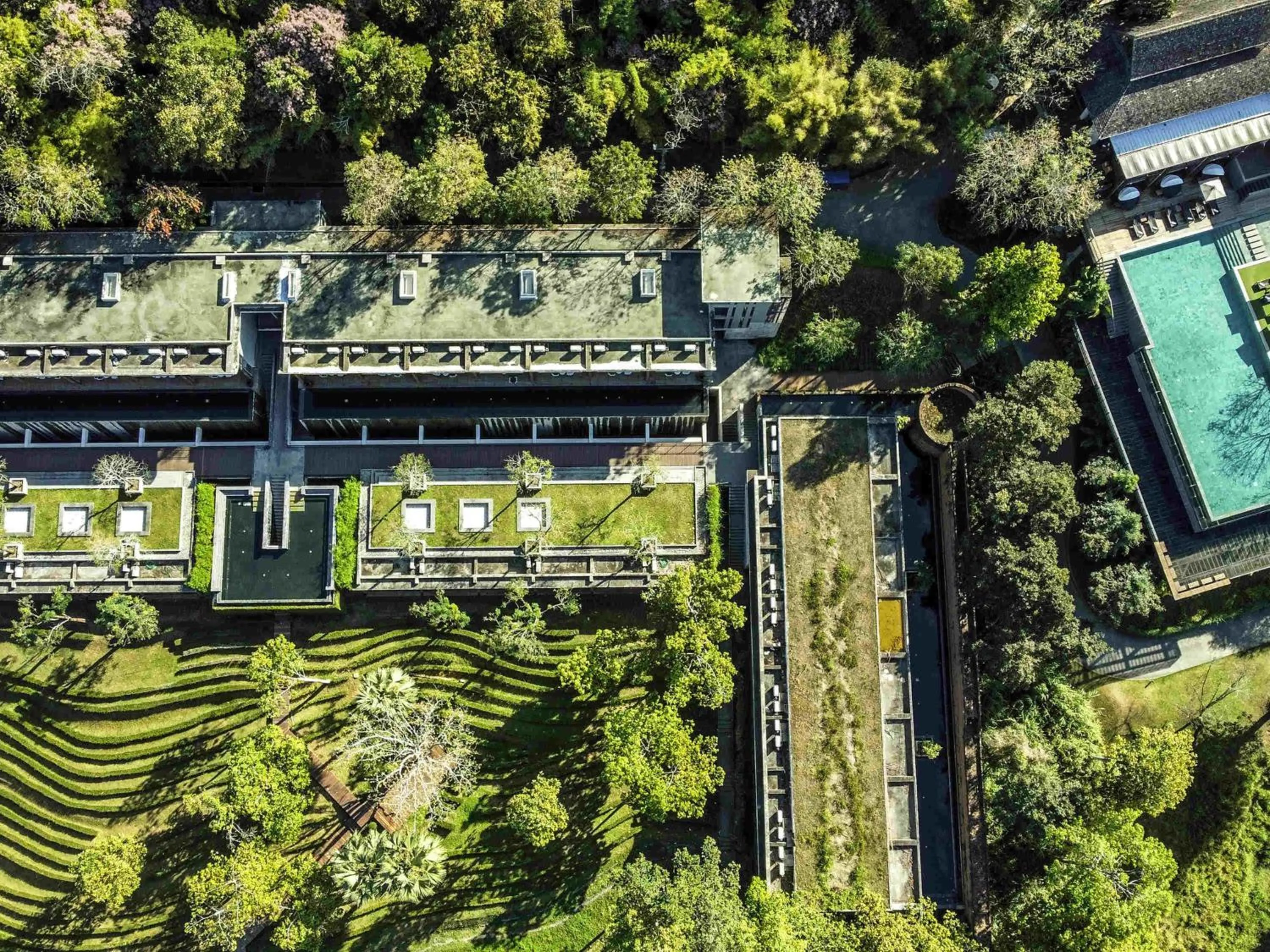 Pool view in Veranda High Resort Chiang Mai - MGallery Collection, Accor Hotel