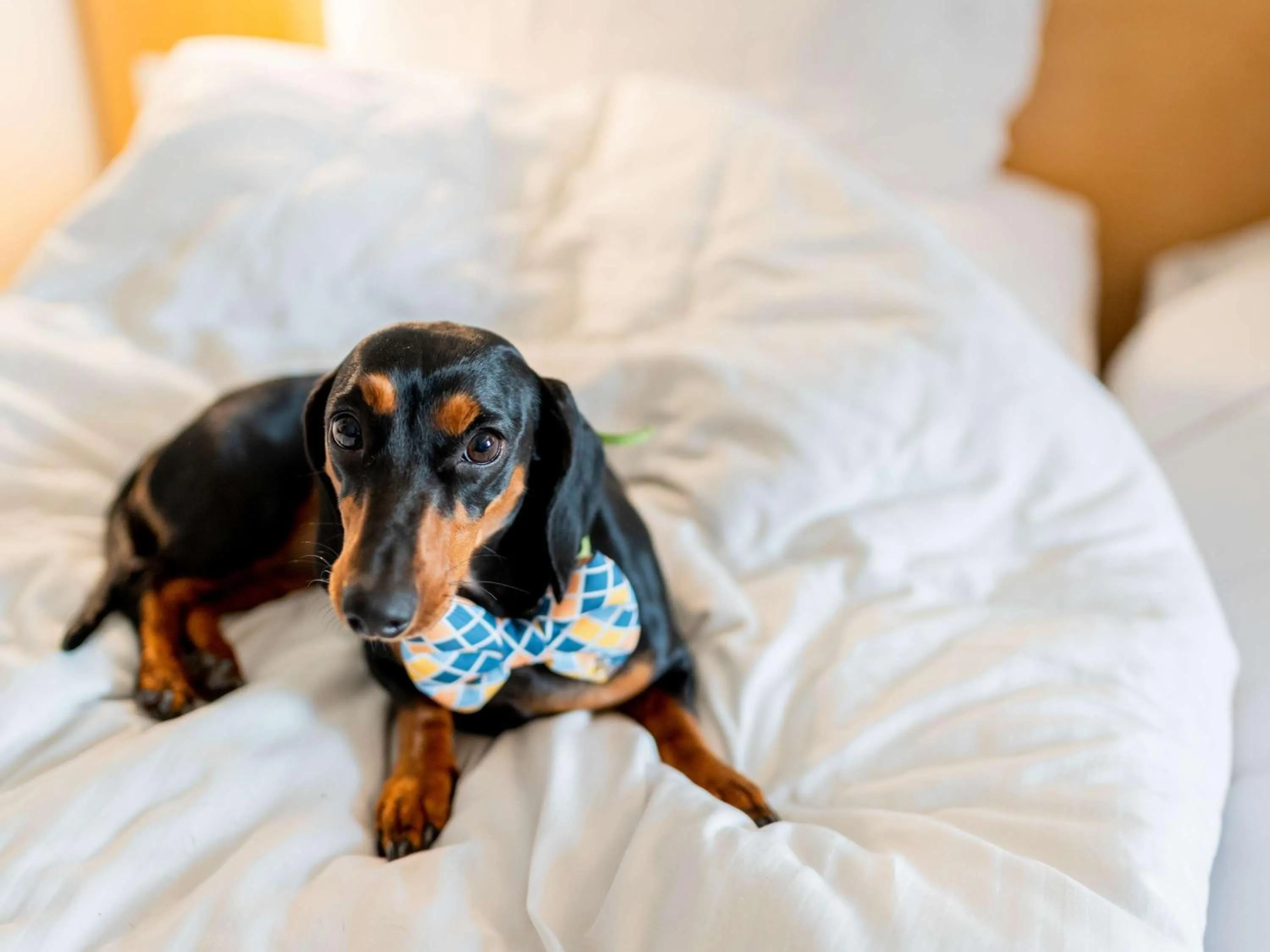 Bedroom, Bed in ibis Nürnberg Hauptbahnhof