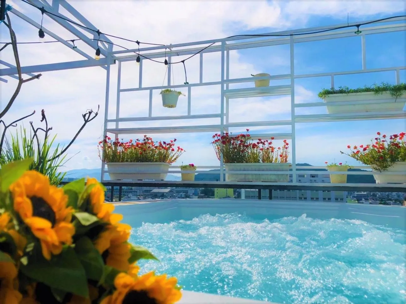 Activities in Olivia Hotel and Apartment