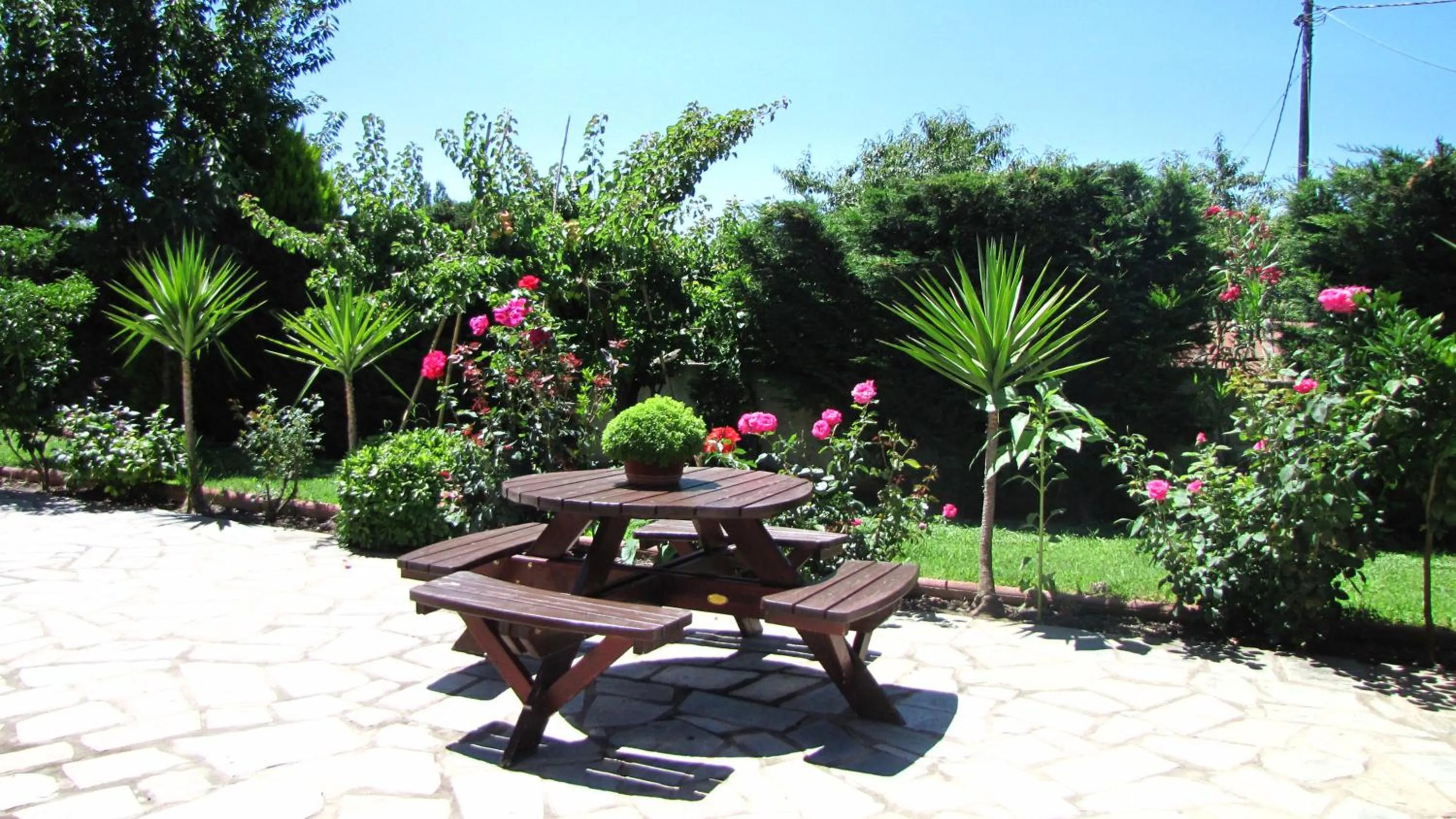 Spring in Palirria Hotel & Studios