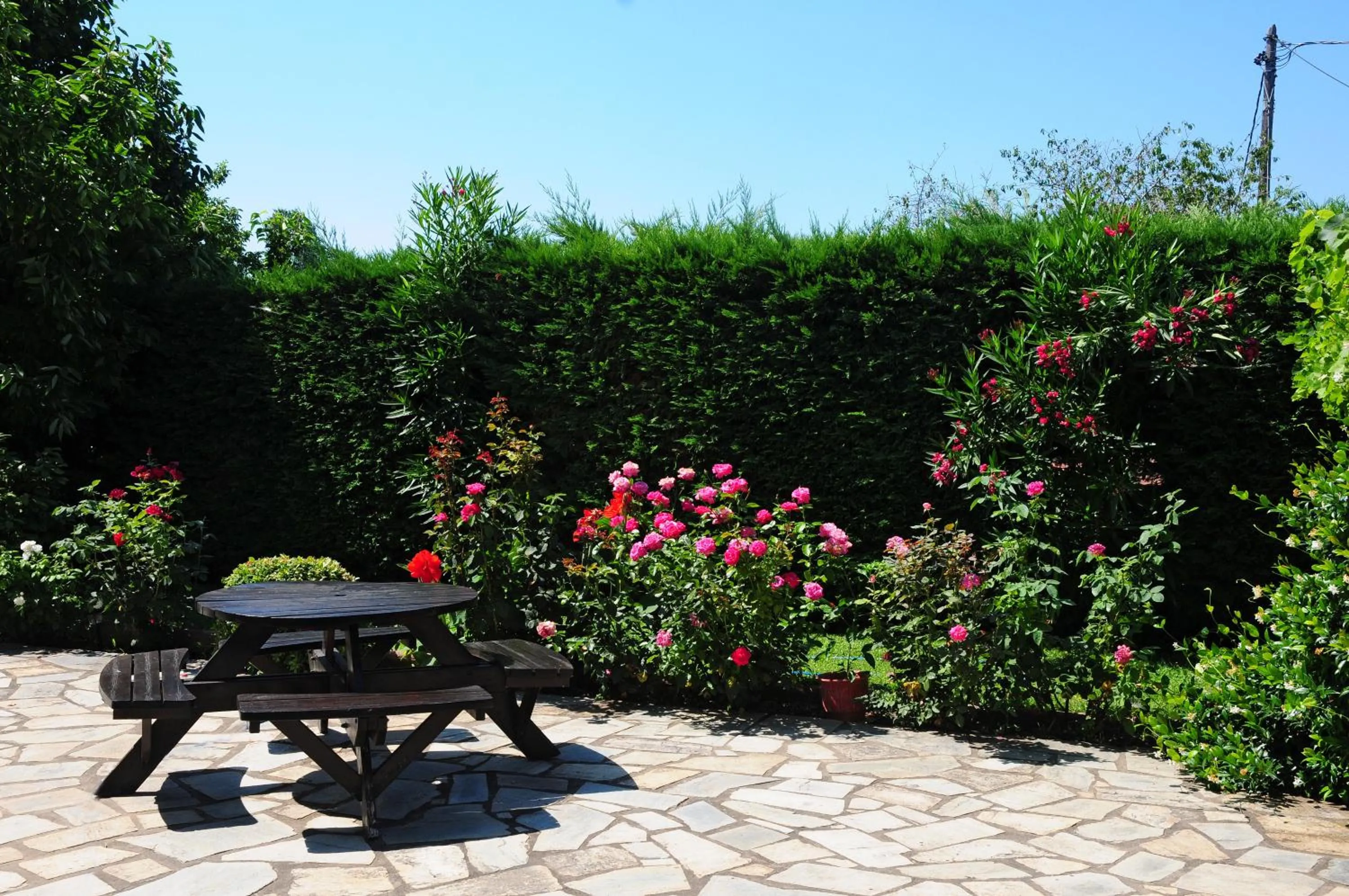 Garden in Palirria Hotel & Studios