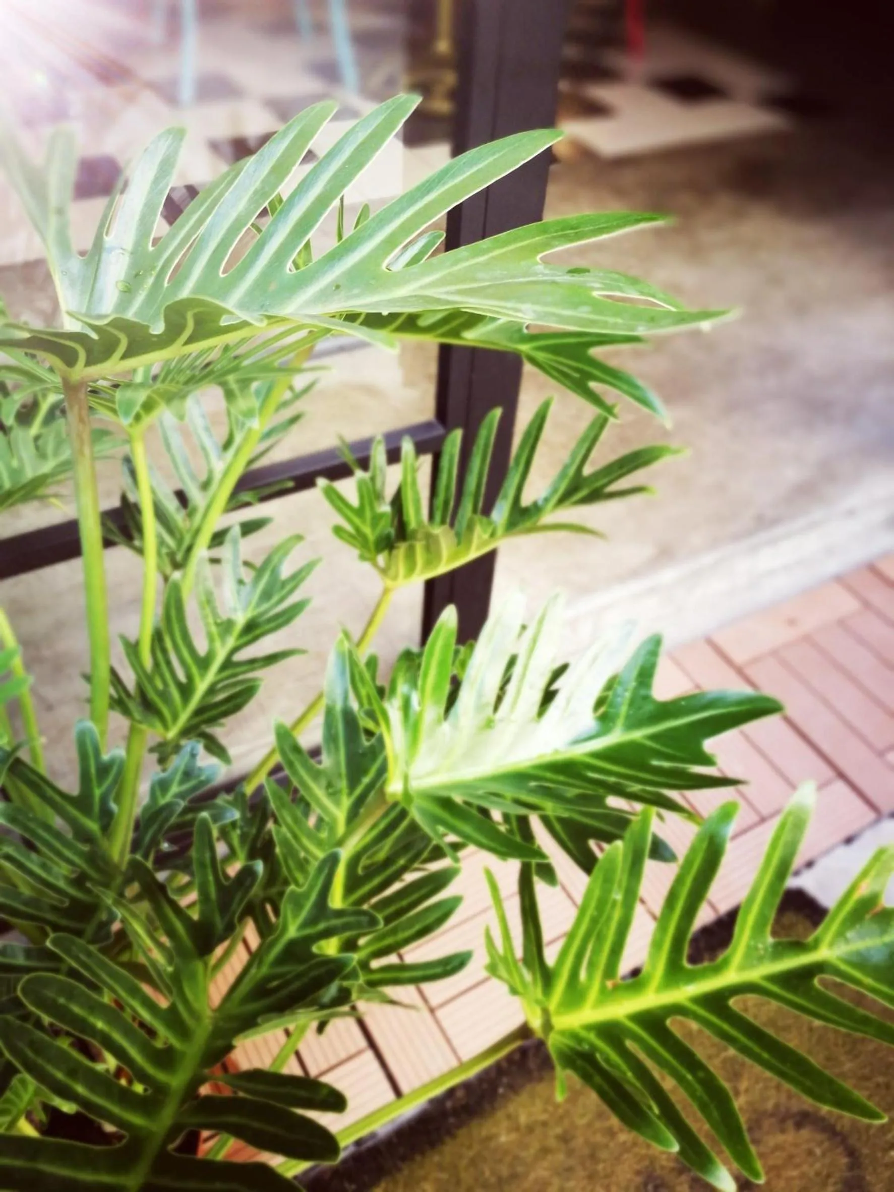 Property building in Kokokara B&b