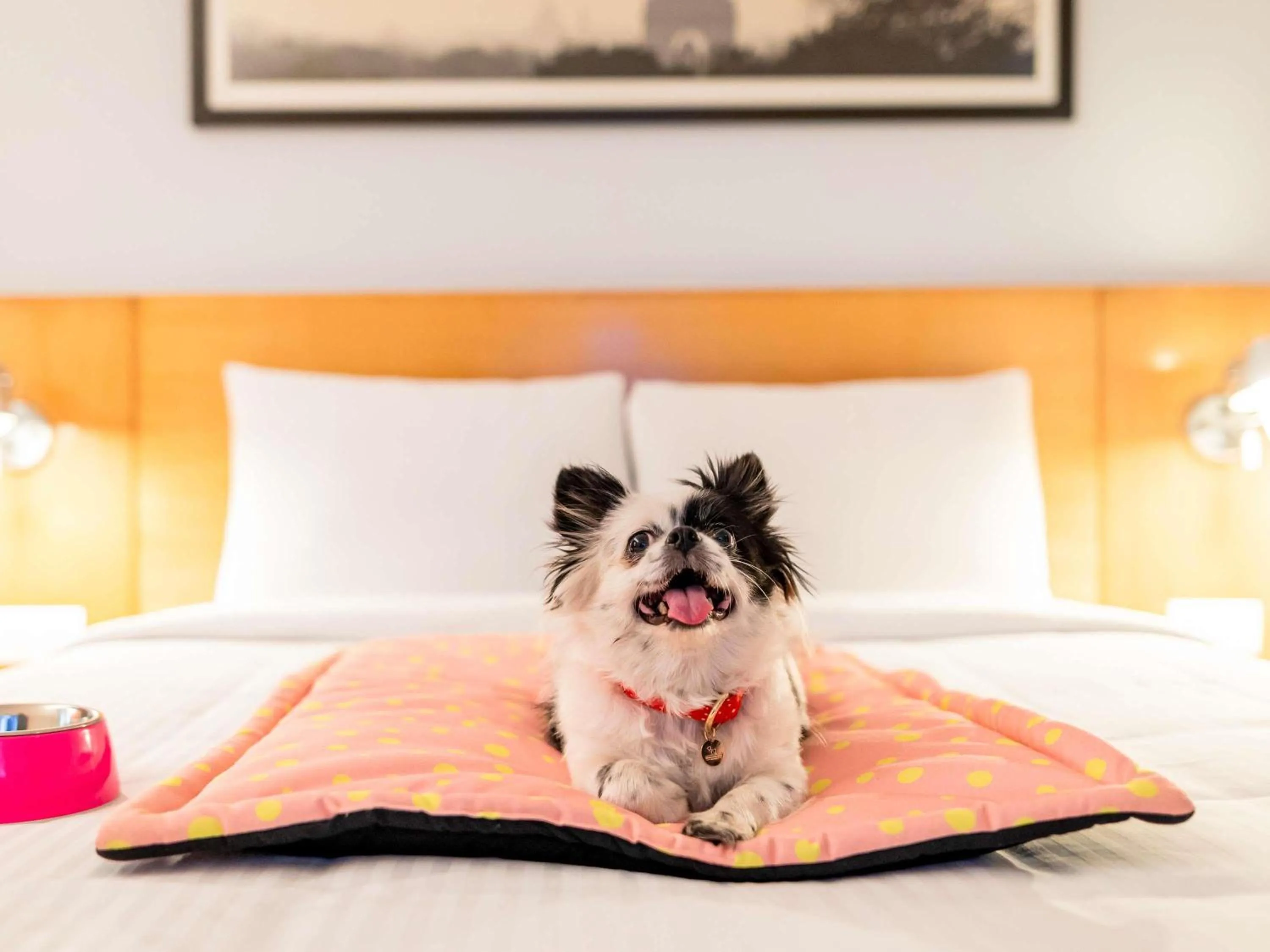 Other, Bed in ibis Mainz City