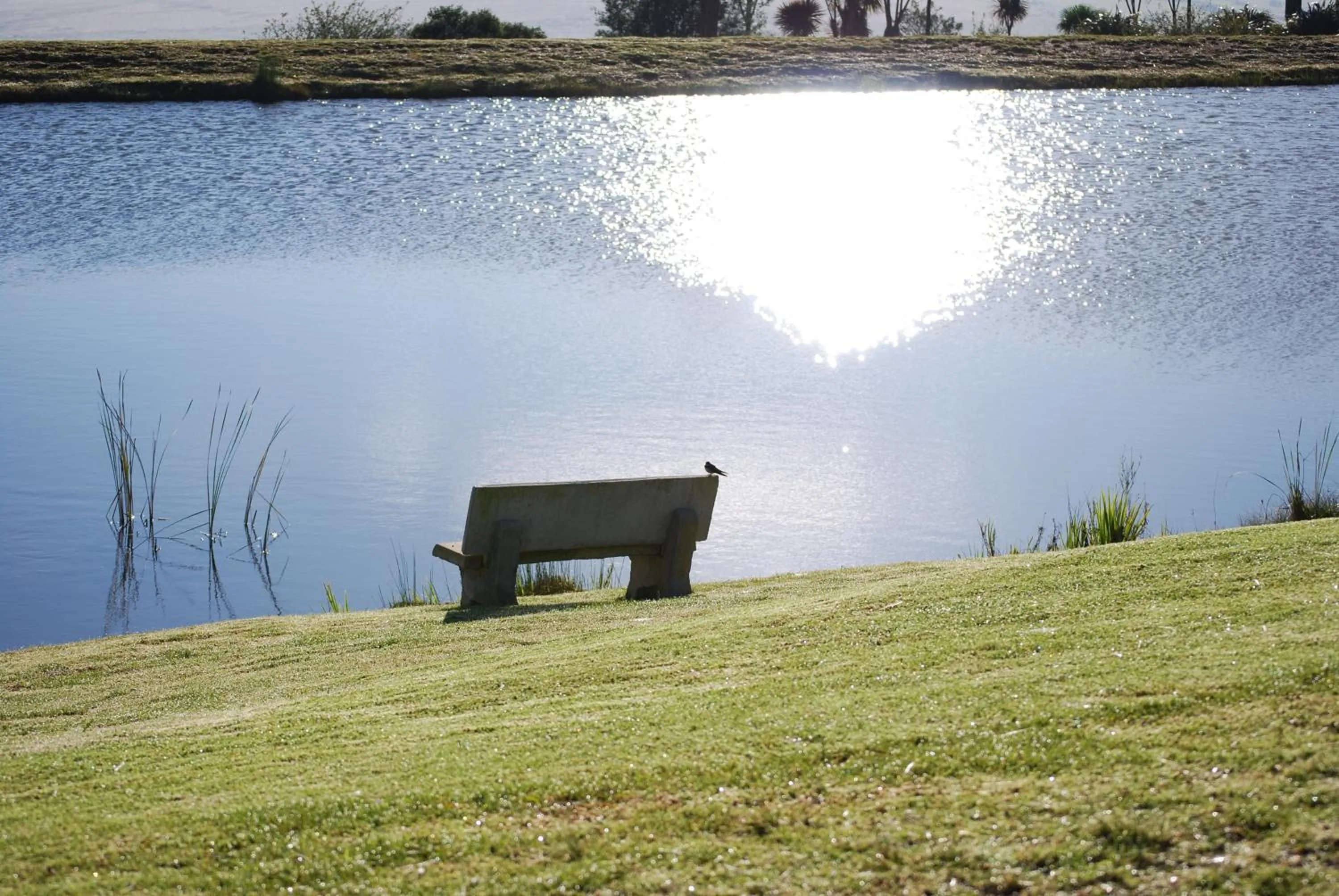 Day in Gooderson Kloppenheim Country Estate