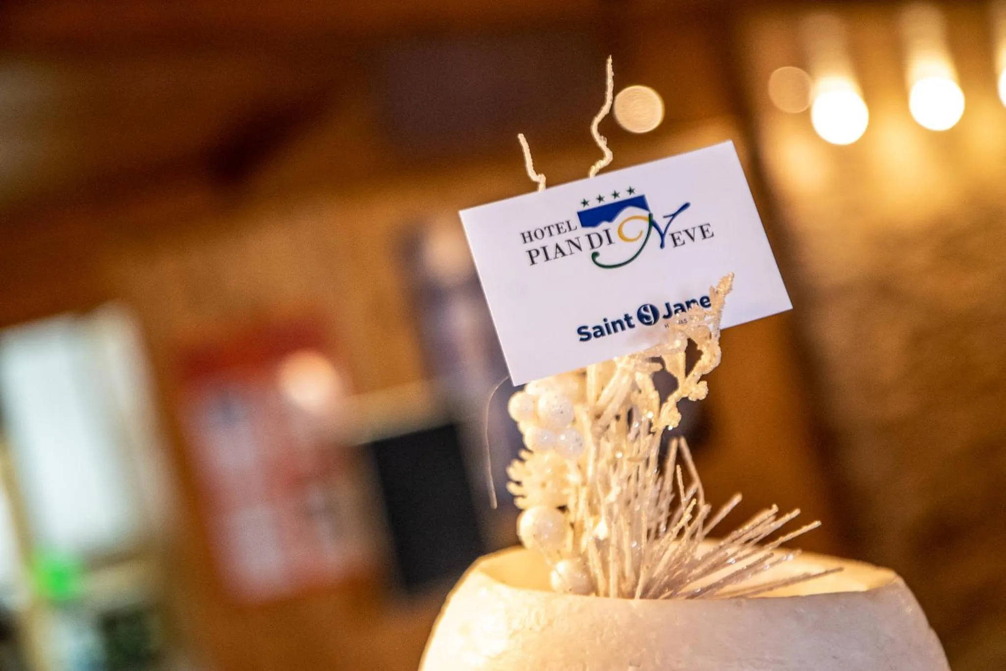 Property logo or sign in Hotel Piandineve