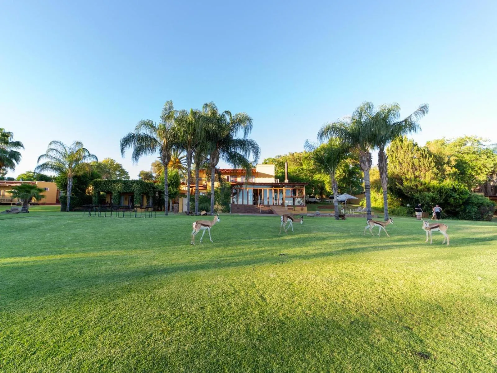 Garden in Sunriver Kalahari Lodge Riverside stay in Upington