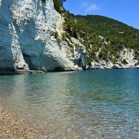 Beach in Albergo Villa Bianca