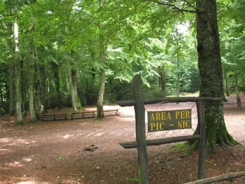 Garden in Albergo Villa Bianca