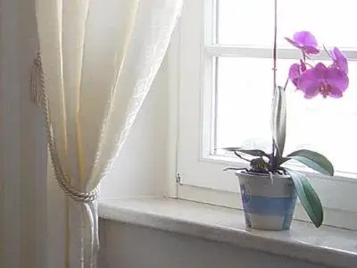 Family Room (3 Adults) in Hotel Altes Hafenhaus Family Room (3 Adults) in Hotel Altes Hafenhaus