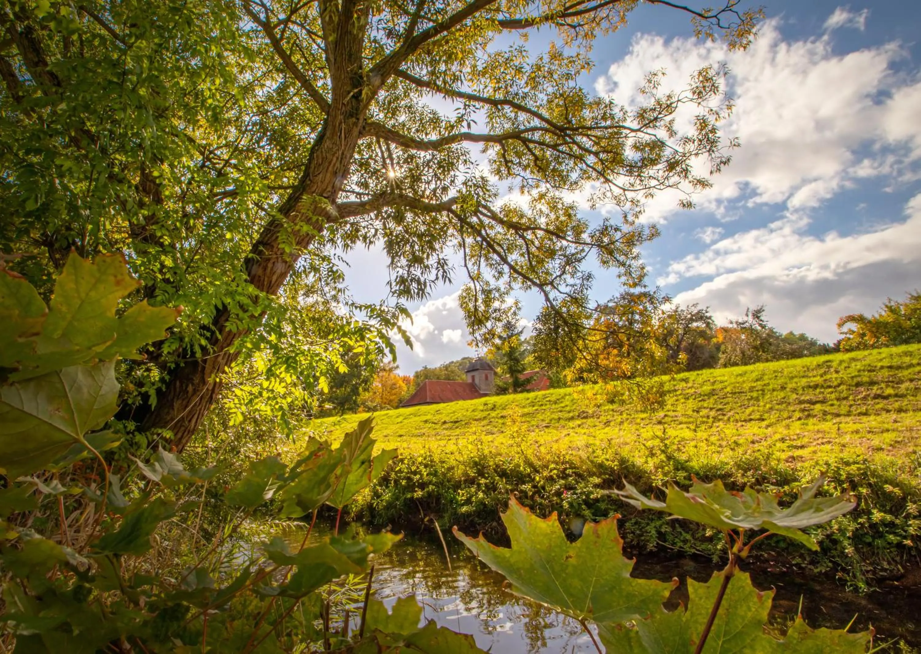 Spring in Romantik Hotel Landhaus Biewald