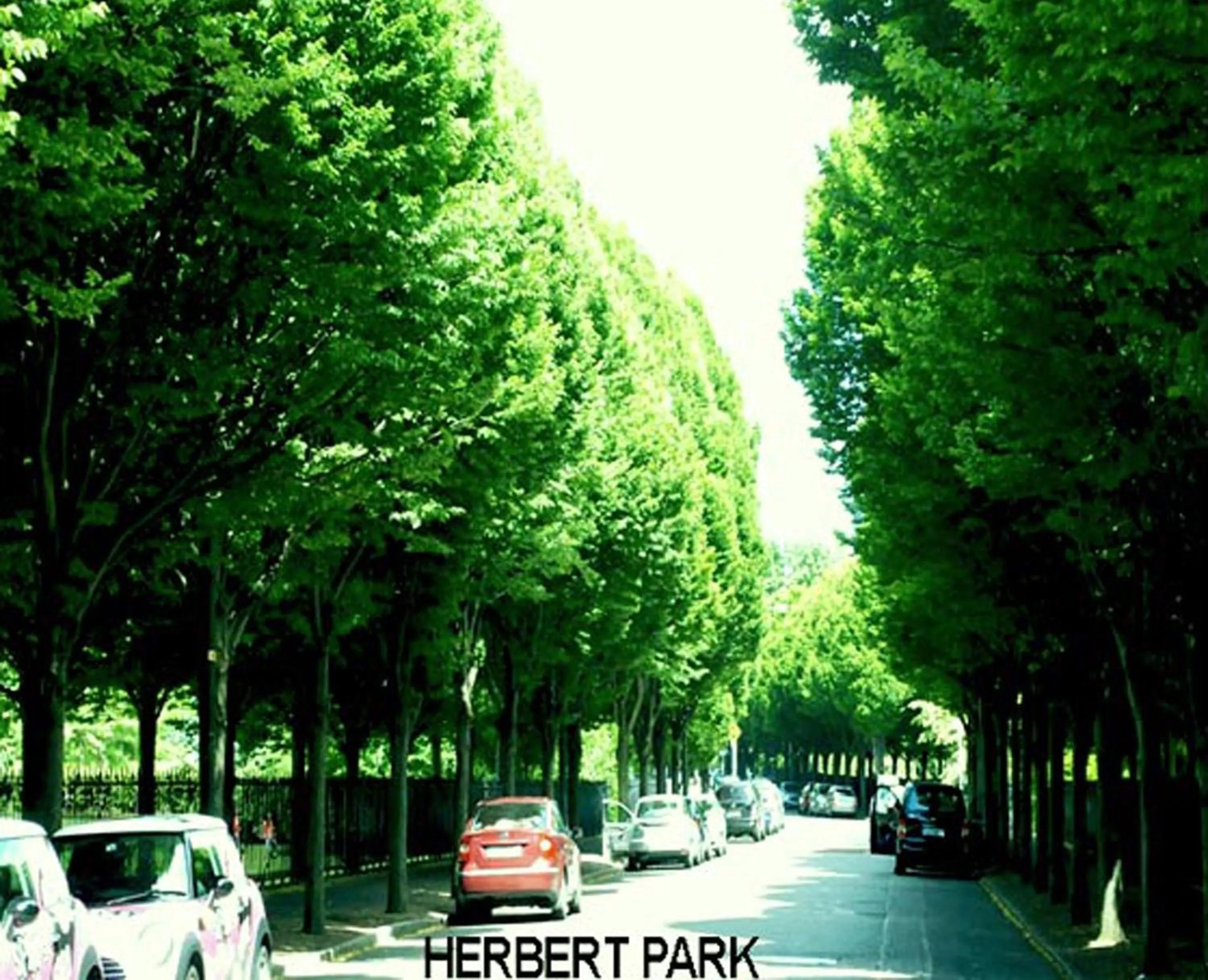 Area and facilities in Morehampton Townhouse