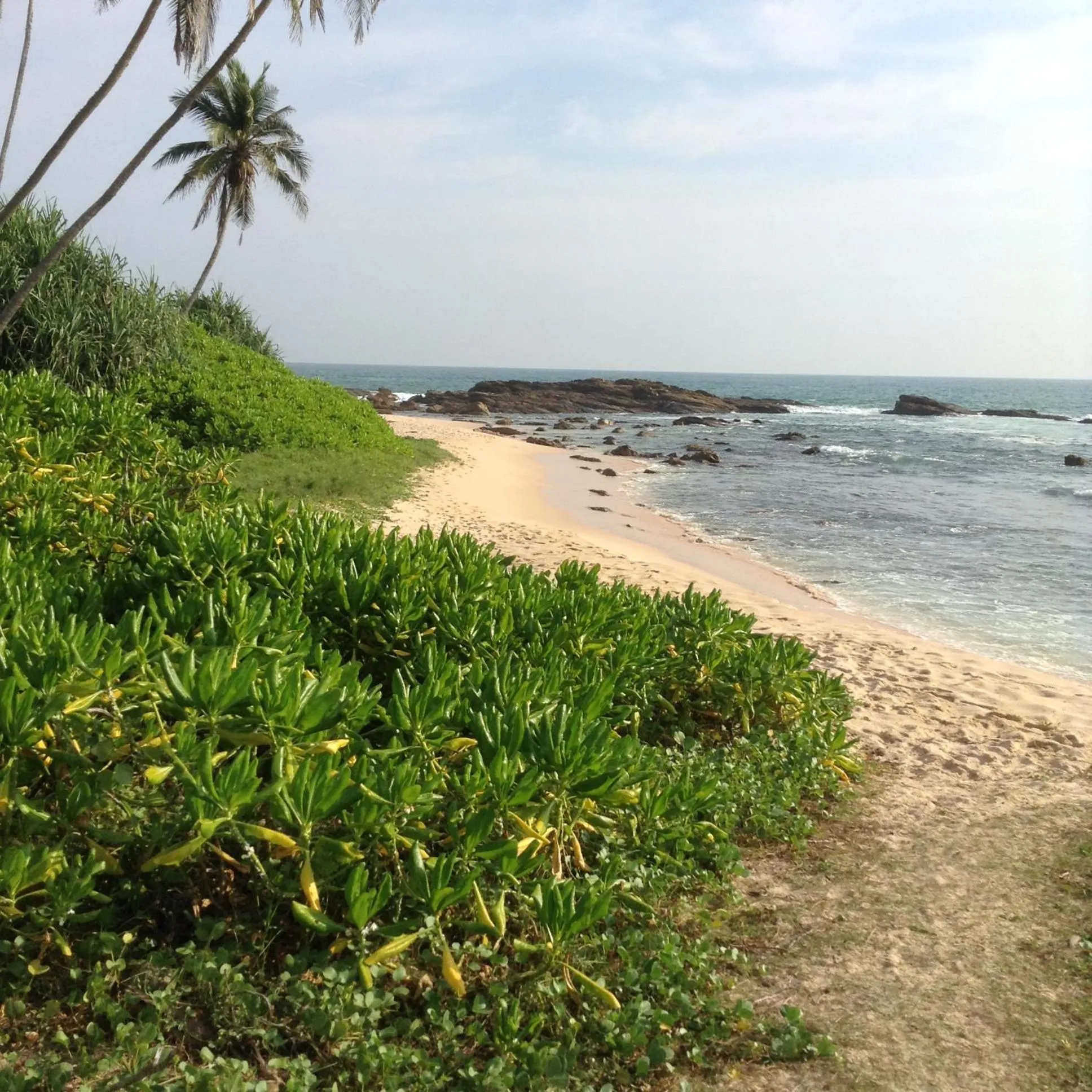 Beach in Silence Paradise