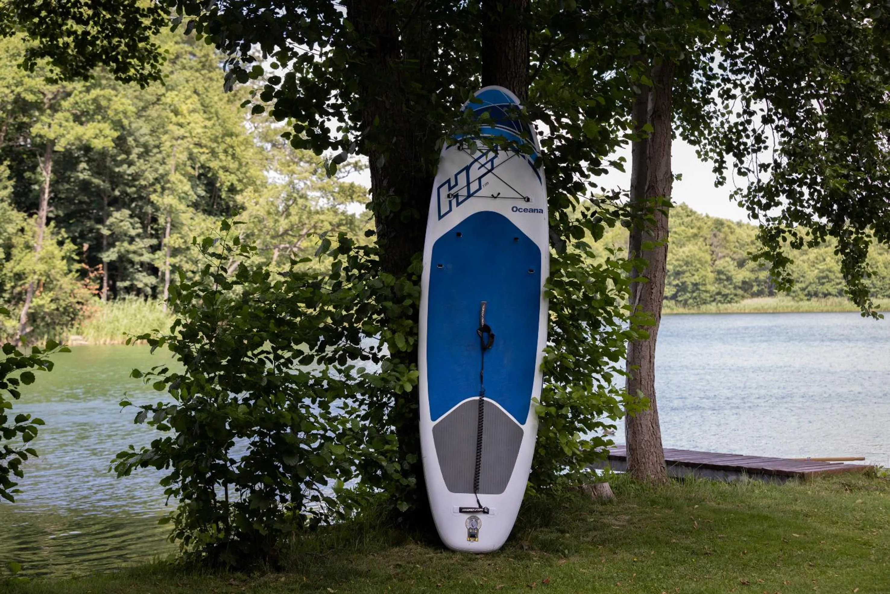 Garden in Seehotel Villago
