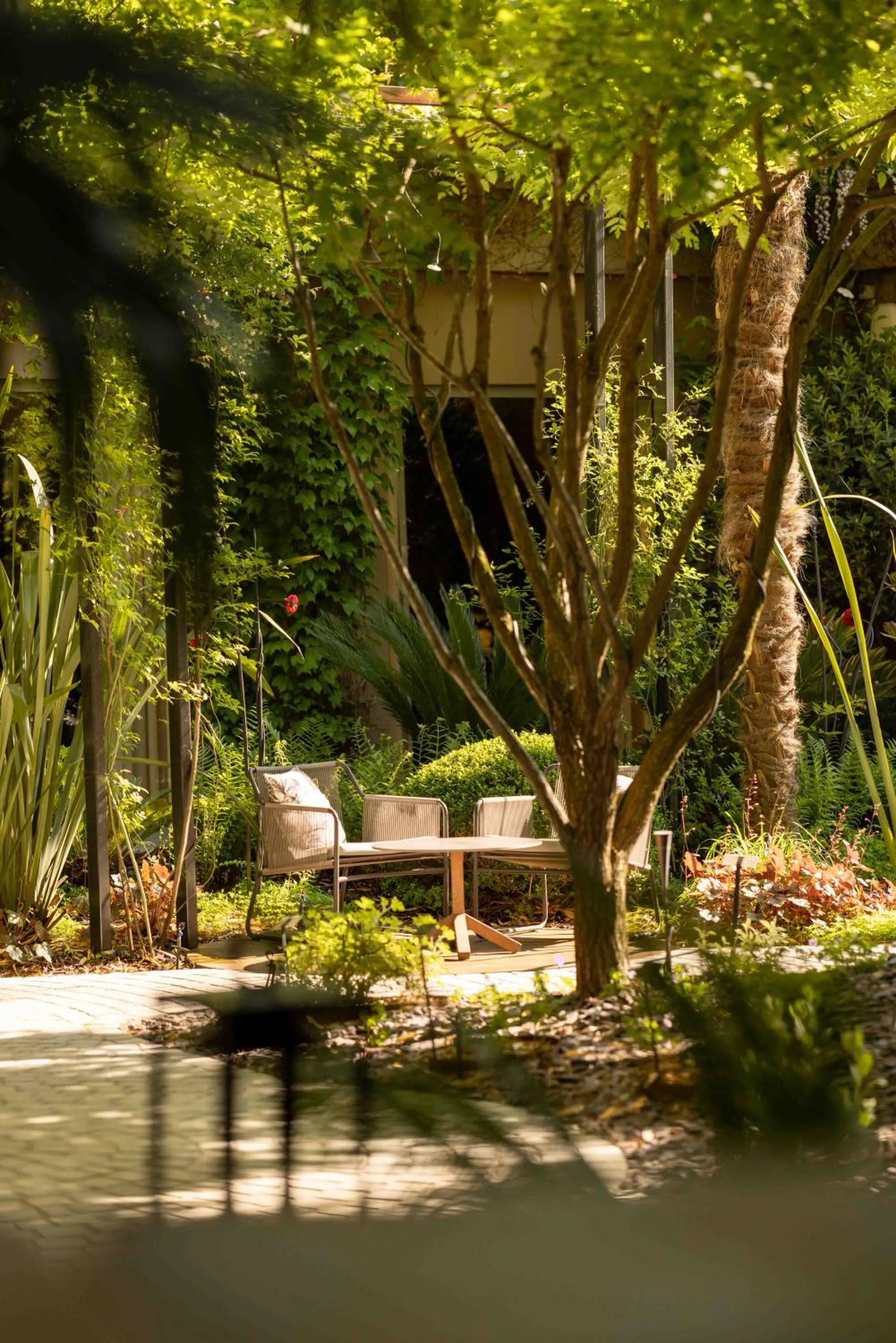 Garden in Maison Pic