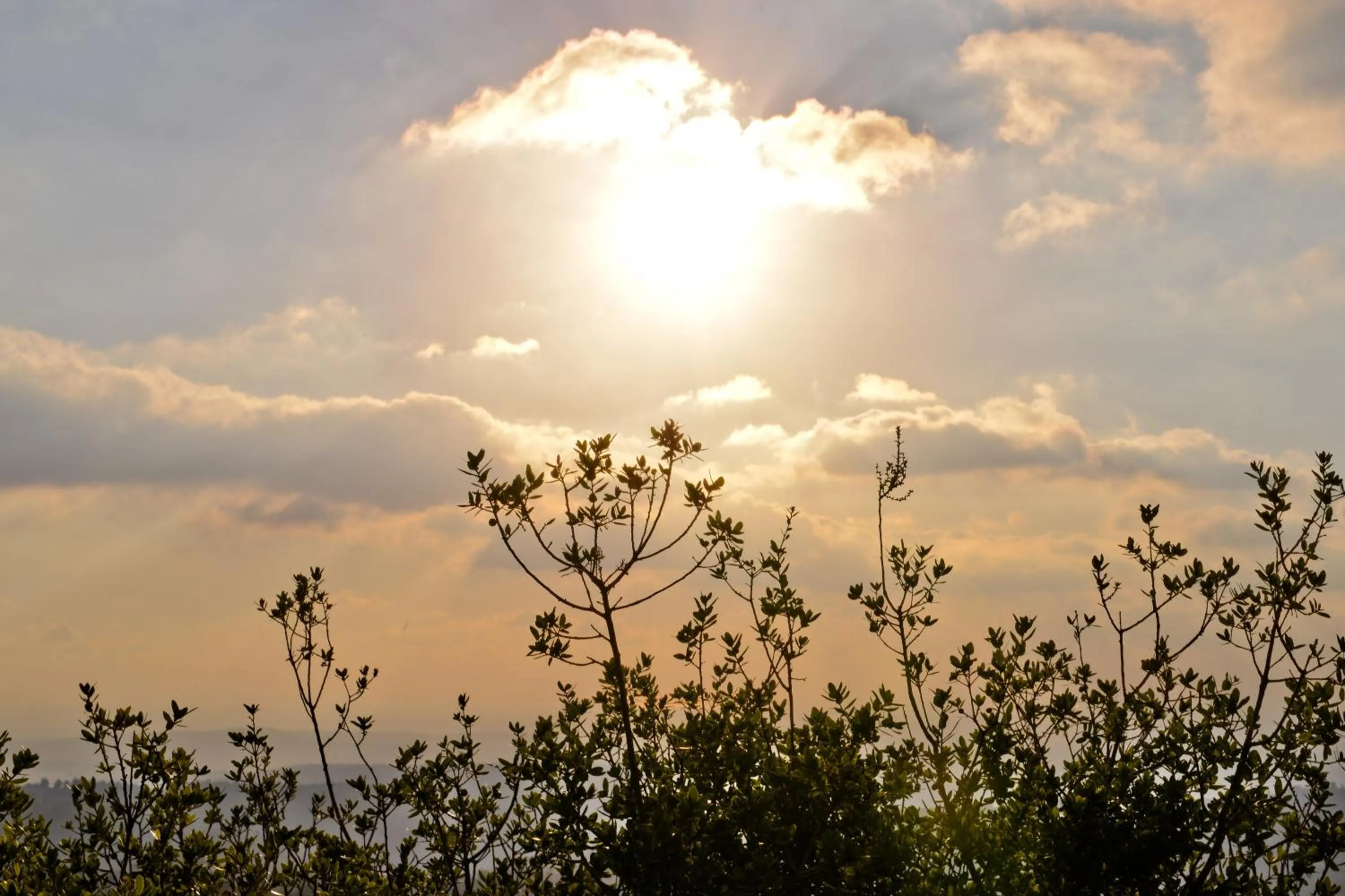 View (from property/room) in Logos hotel in Yad Hashmona