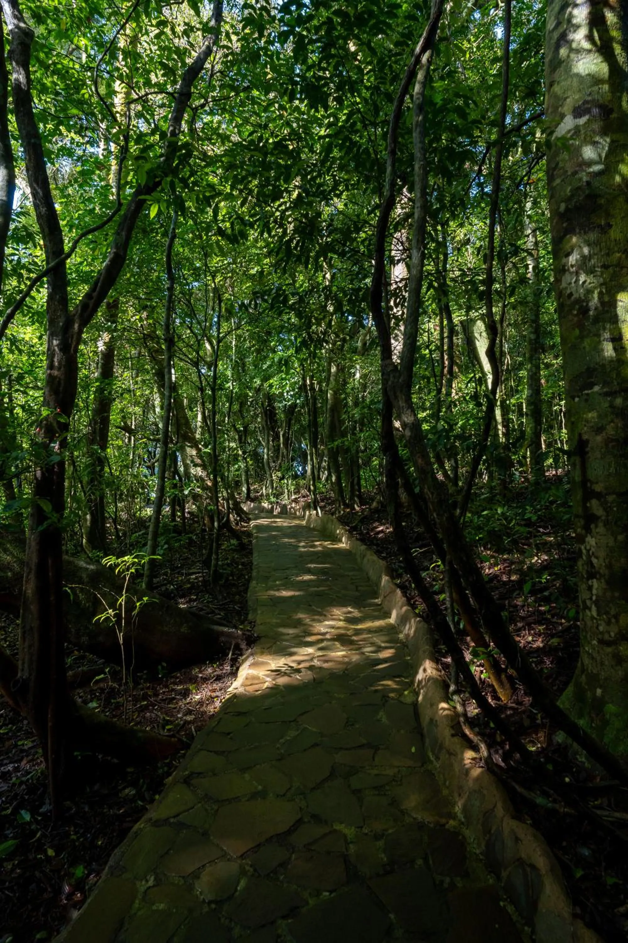 Natural landscape in Koora Monteverde a Cloud Forest Hotel by Sandglass