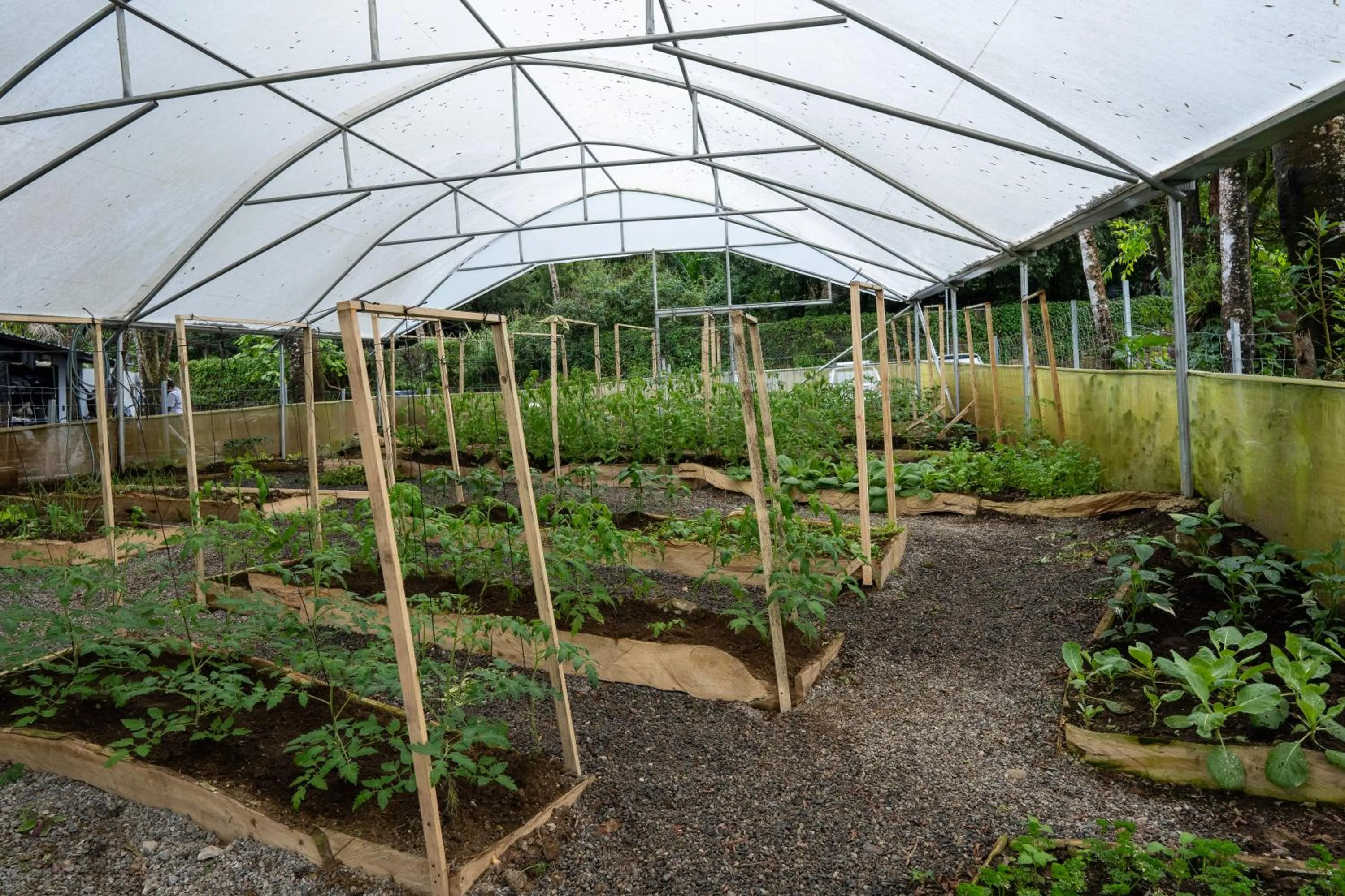 Garden in Koora Monteverde a Cloud Forest Hotel by Sandglass