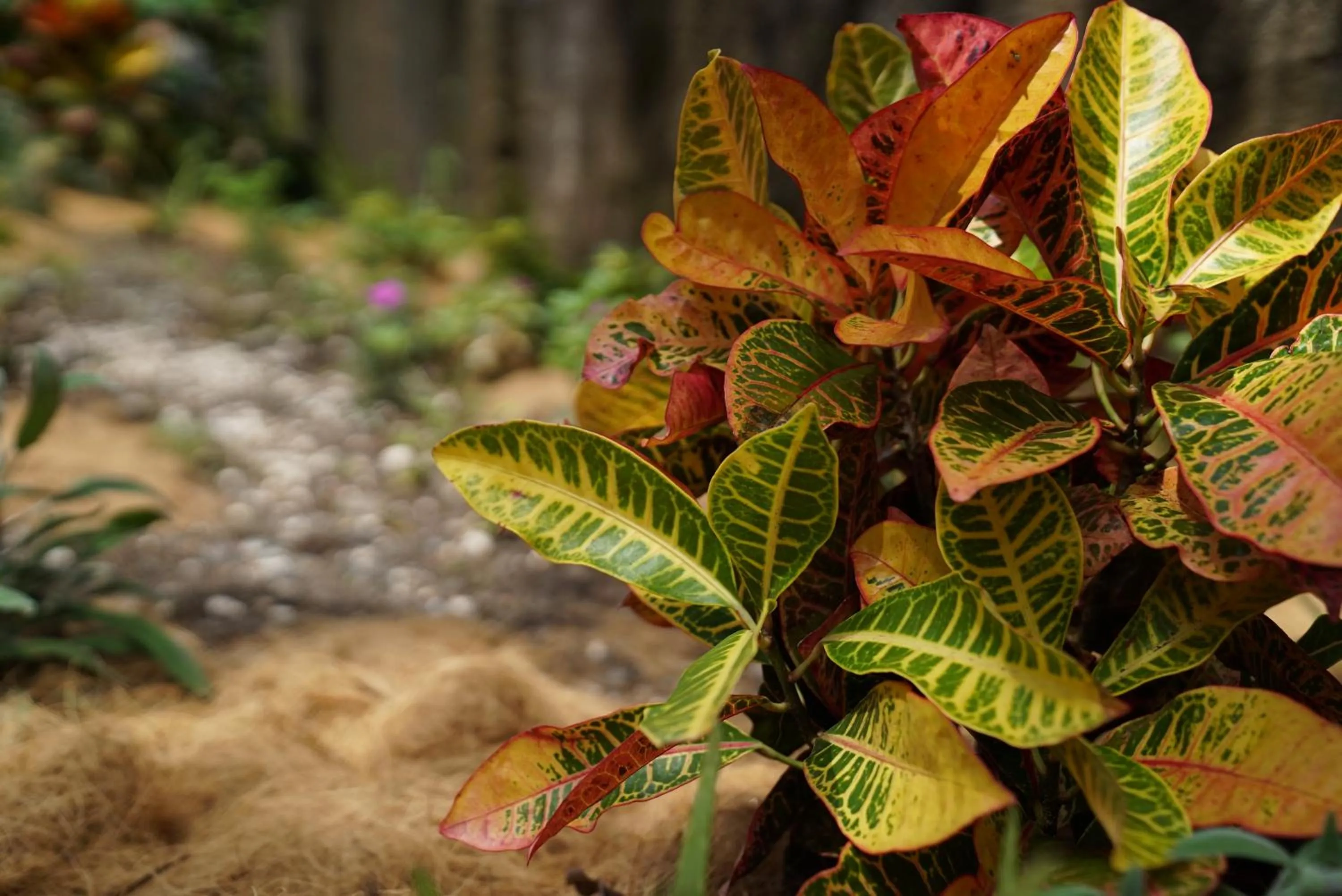 Natural landscape in Koora Monteverde a Cloud Forest Hotel by Sandglass