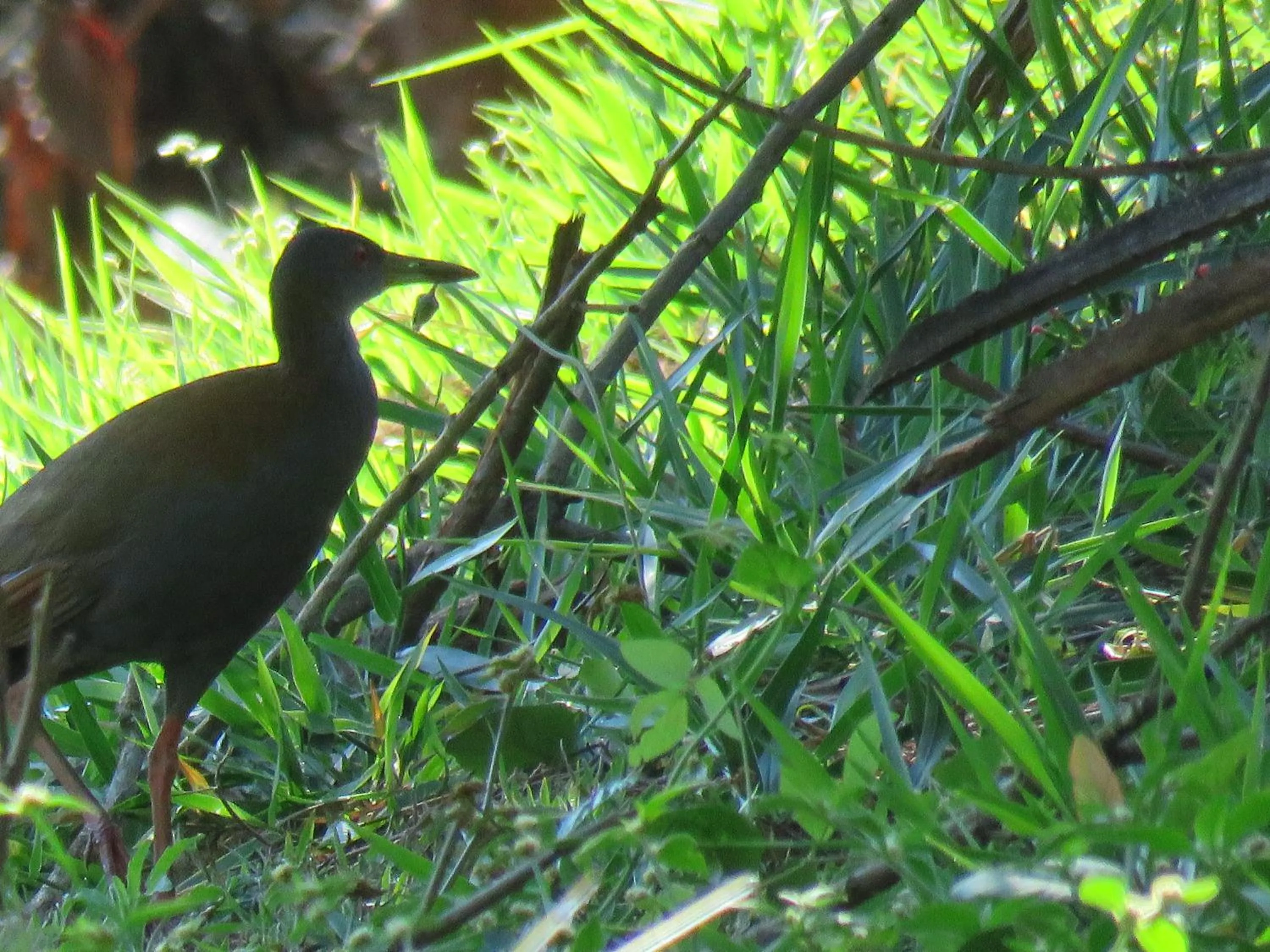 Lagoa Seca Hotel Rural