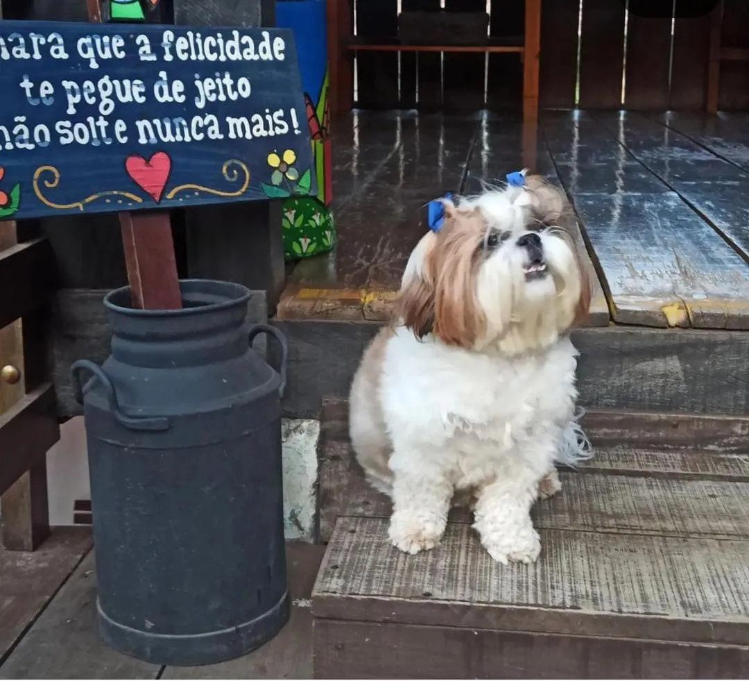 Lagoa Seca Hotel Rural