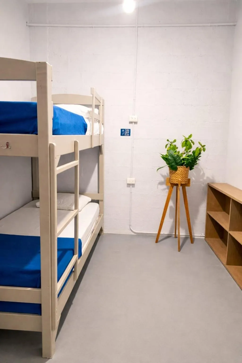 Bed in Hostel Auikyani