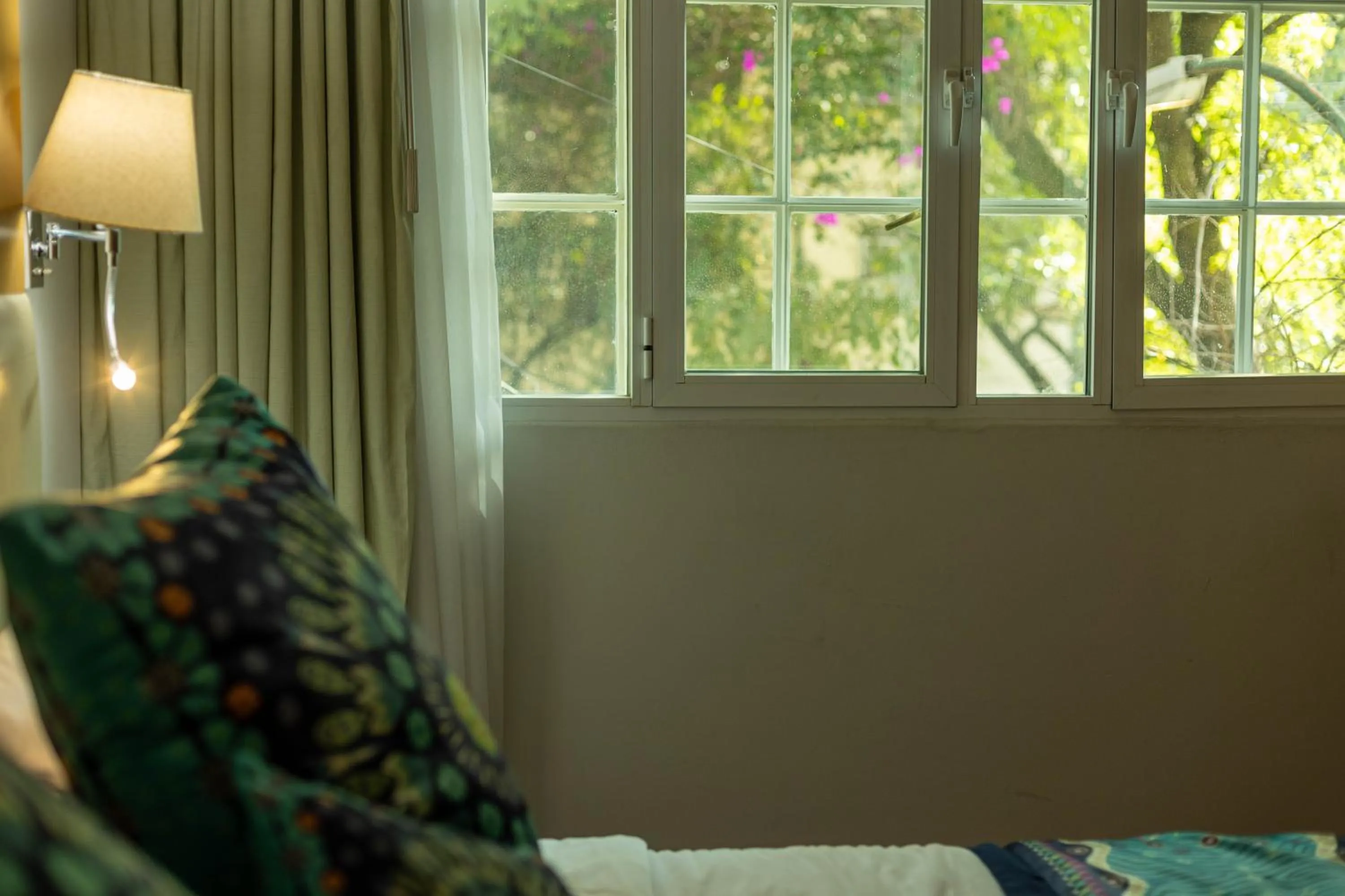 Street view in Maria Condesa