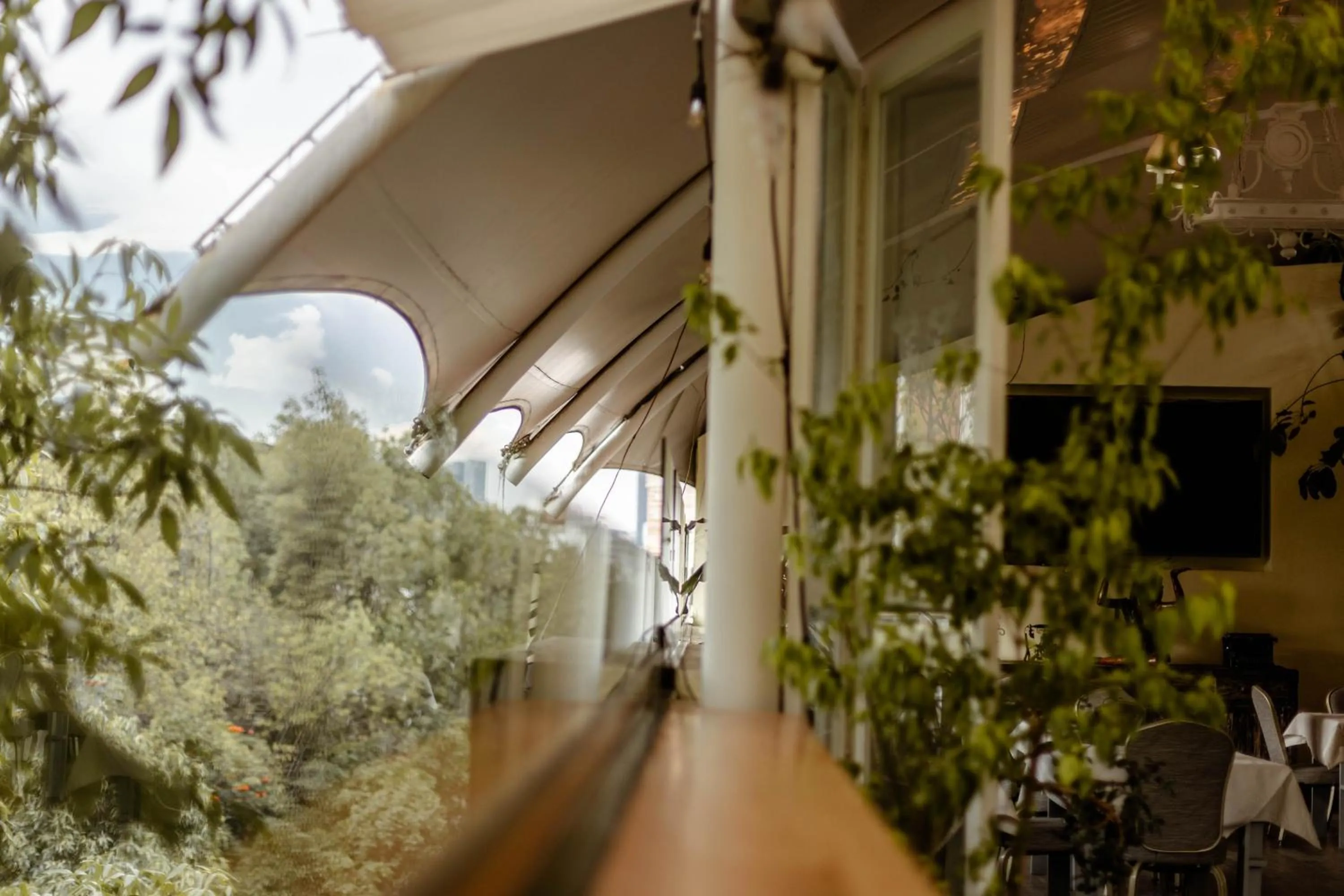 View (from property/room) in Maria Condesa