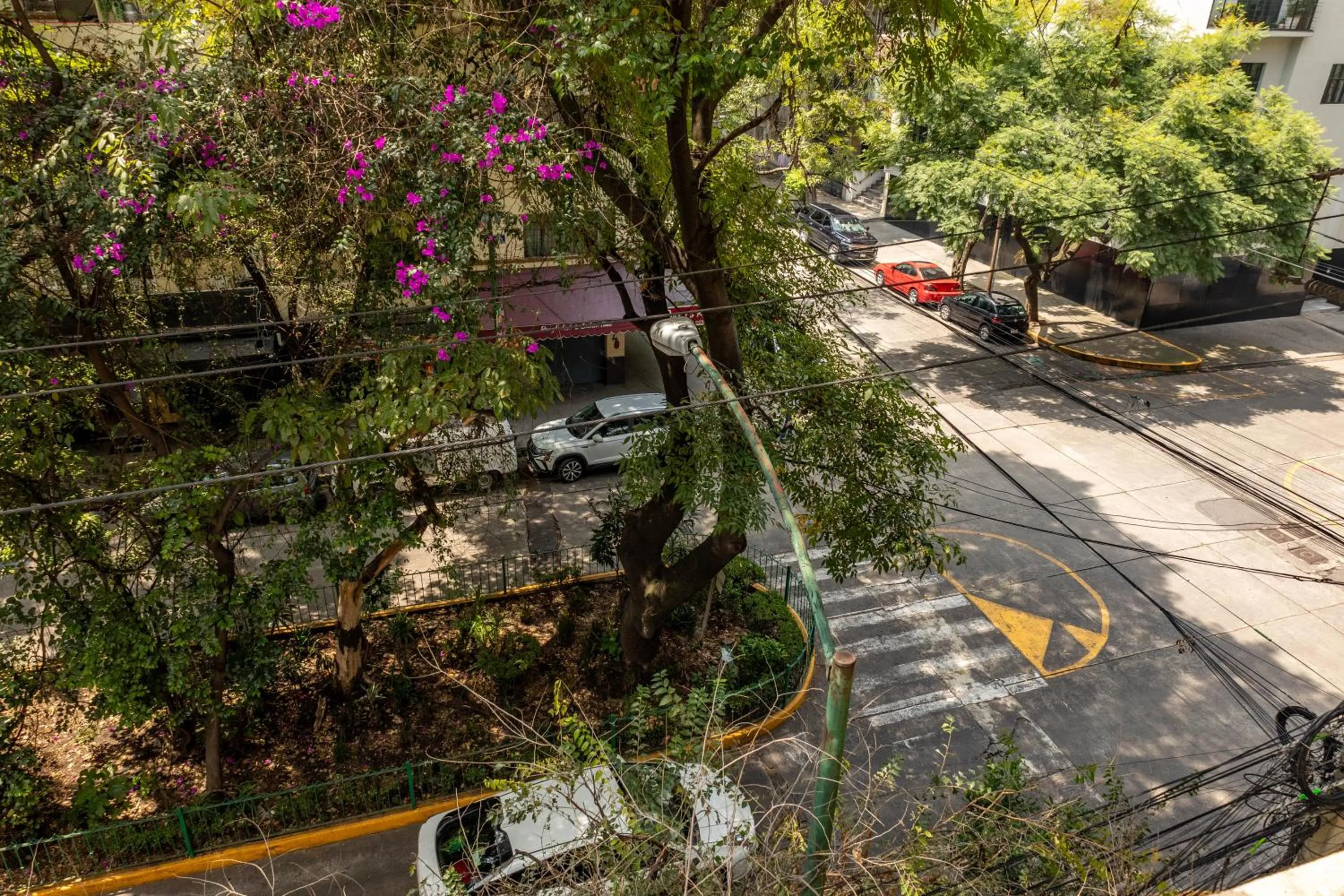 Street view in Maria Condesa