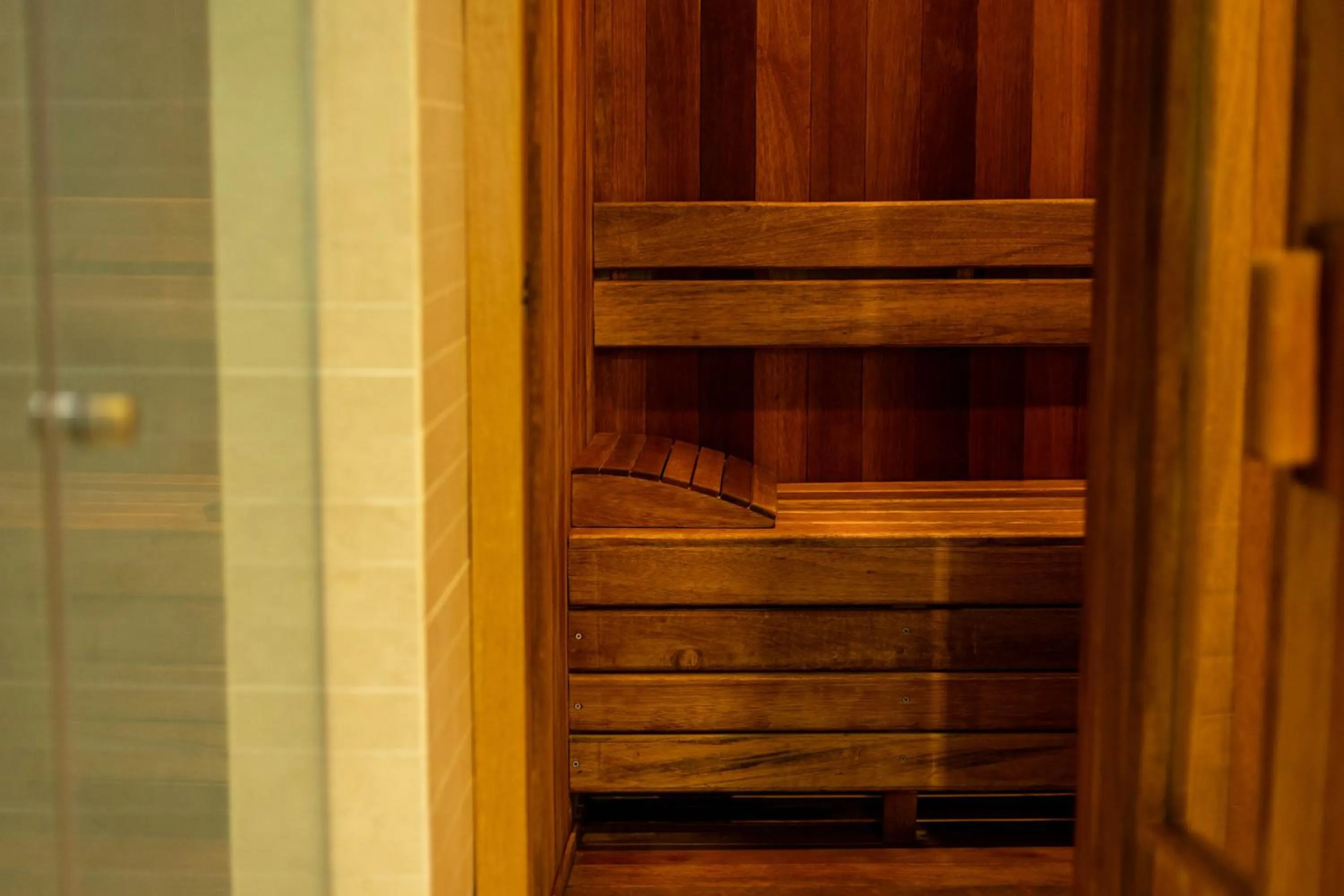 Sauna in Maria Condesa