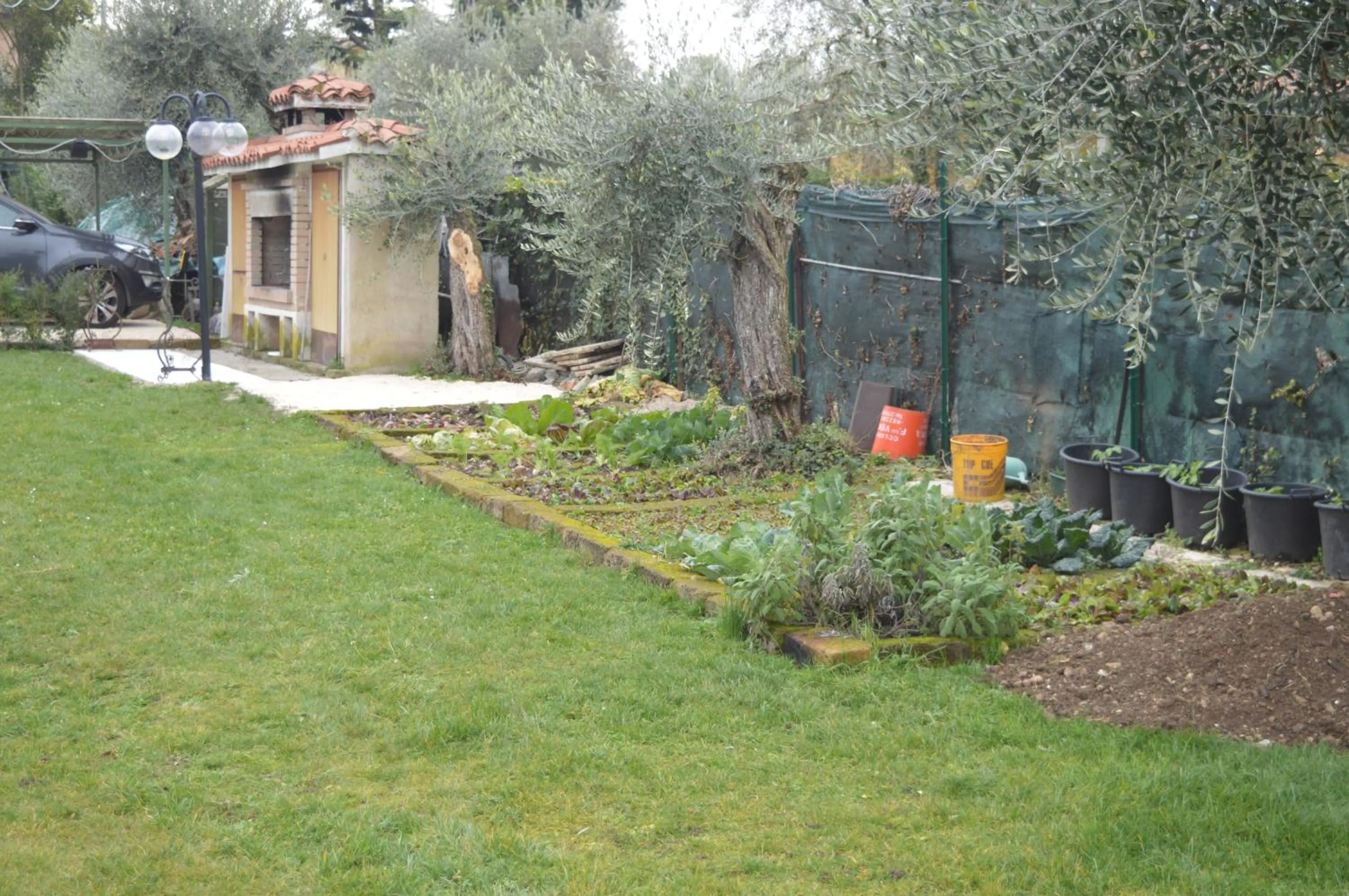 Garden view in The Swan B&B