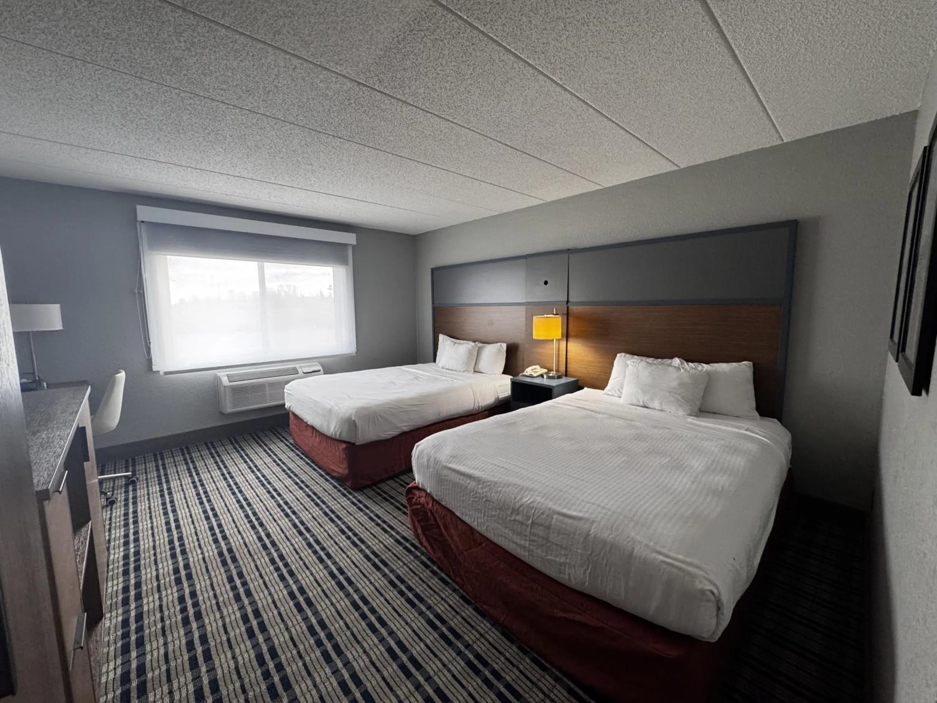 Photo of the whole room, Bed in AmericInn by Wyndham White Bear Lake St. Paul