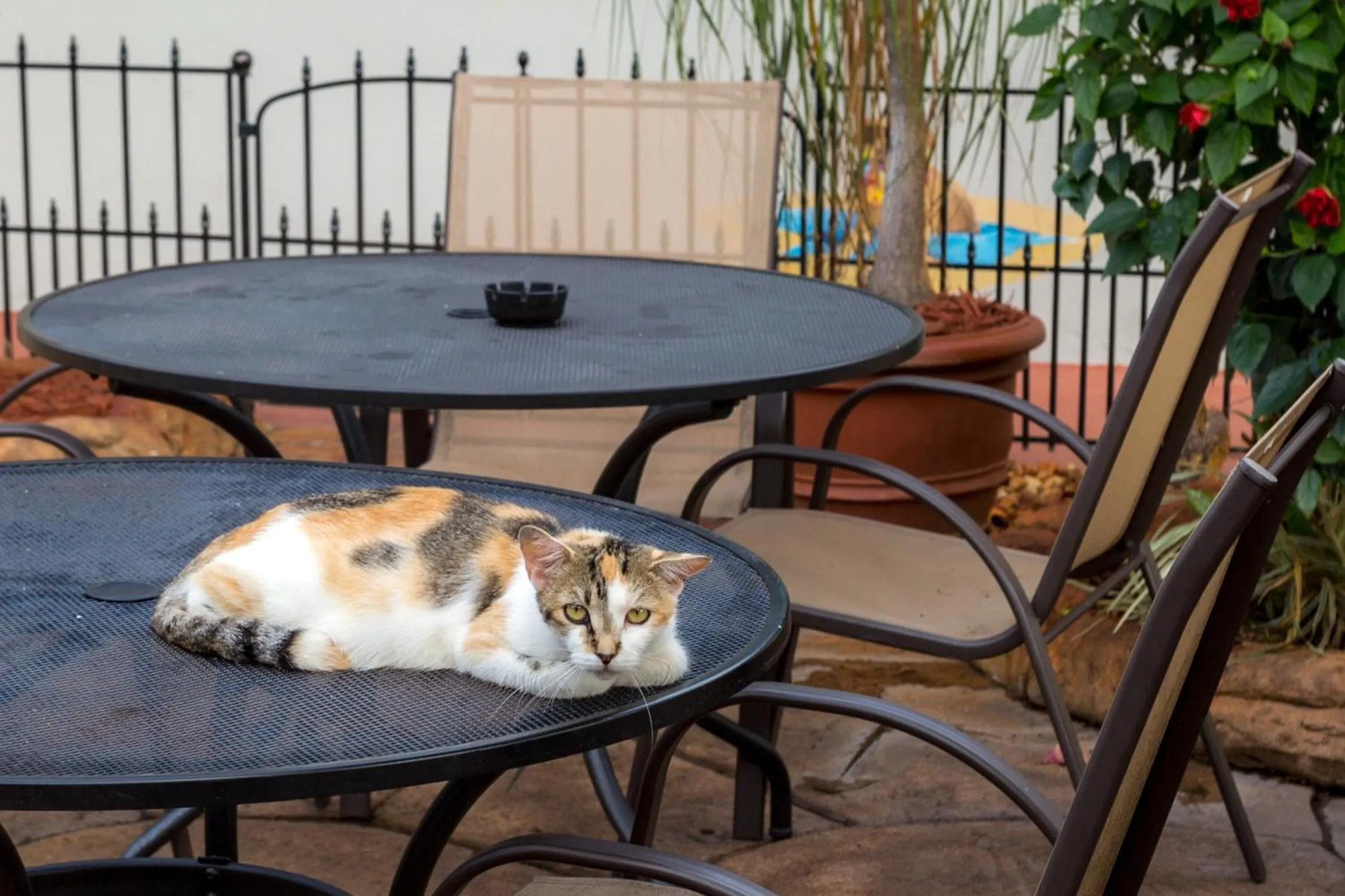 Patio in Richard's Pet Friendly Motel