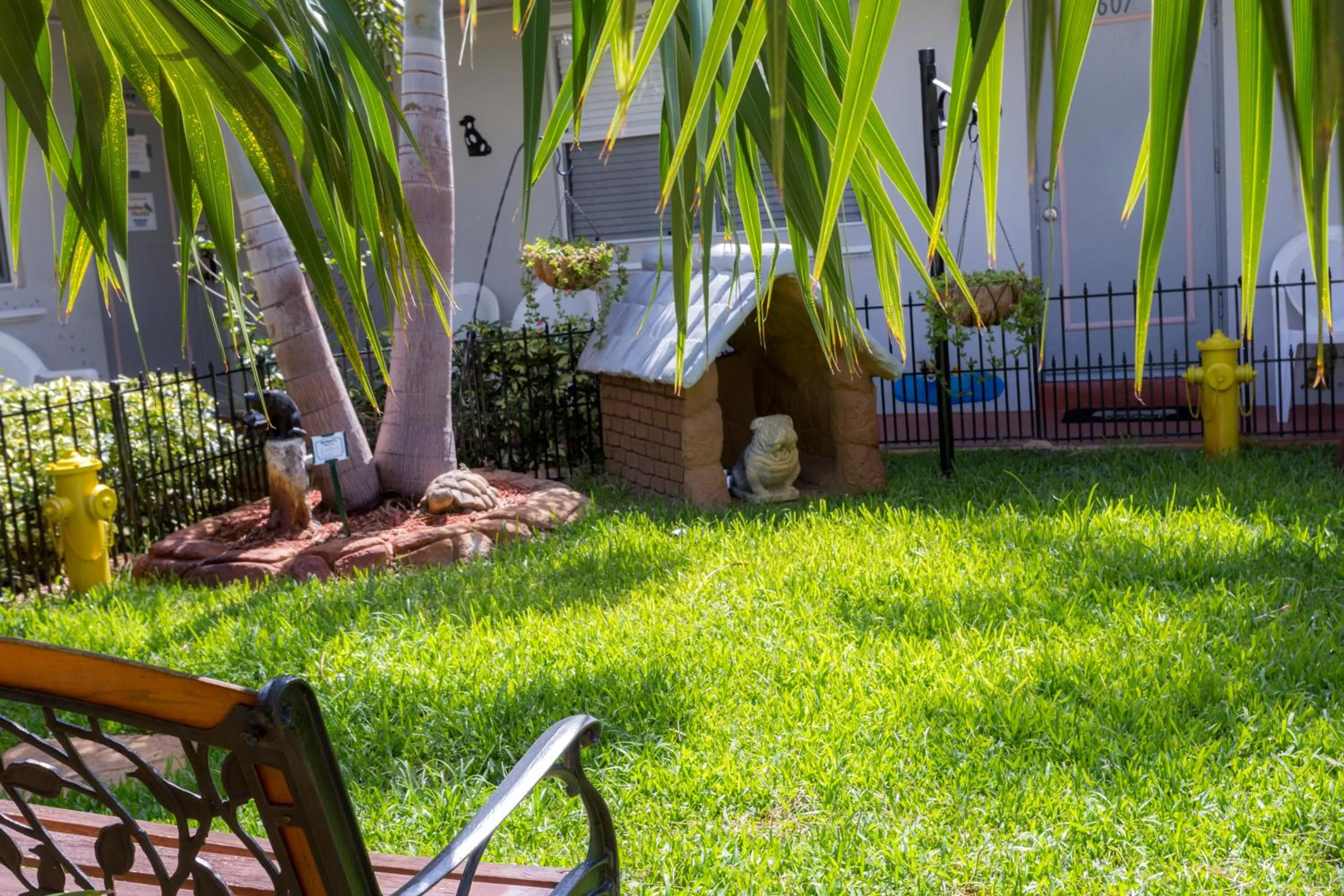 Day in Richard's Pet Friendly Motel