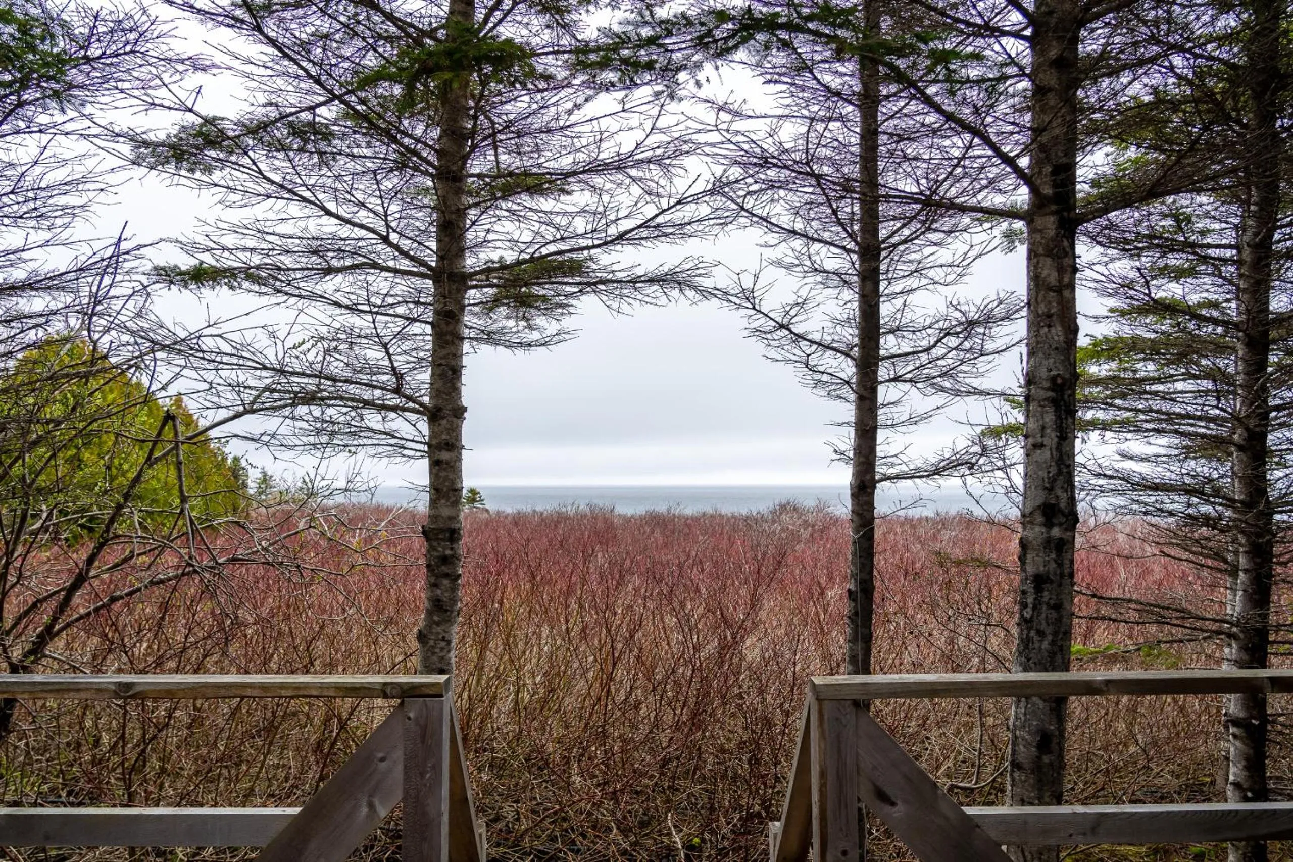 View (from property/room) in Auberge/Chalet Griffon Aventure